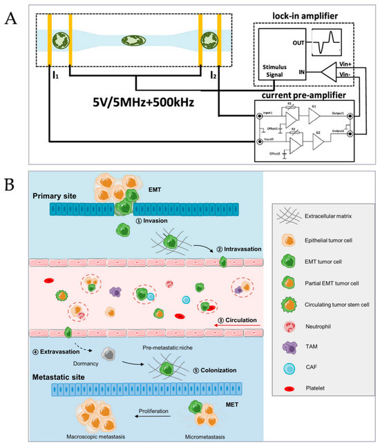 Micromachines 15 00789 g005