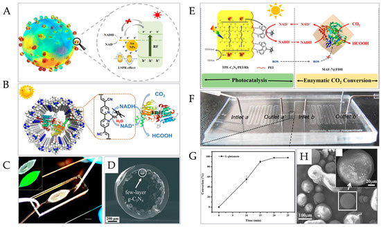 Micromachines 15 00789 g006