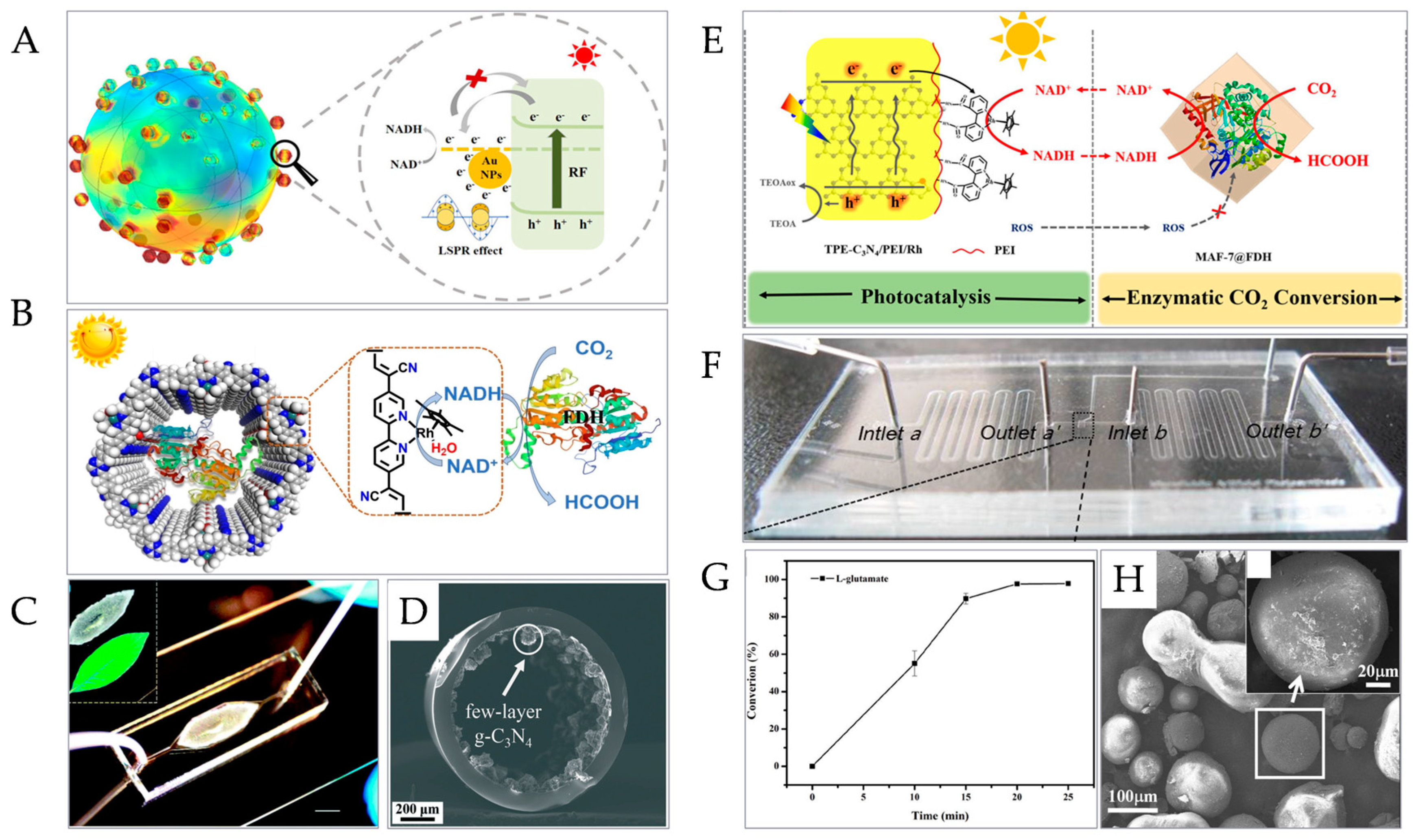 Micromachines 15 00789 g006