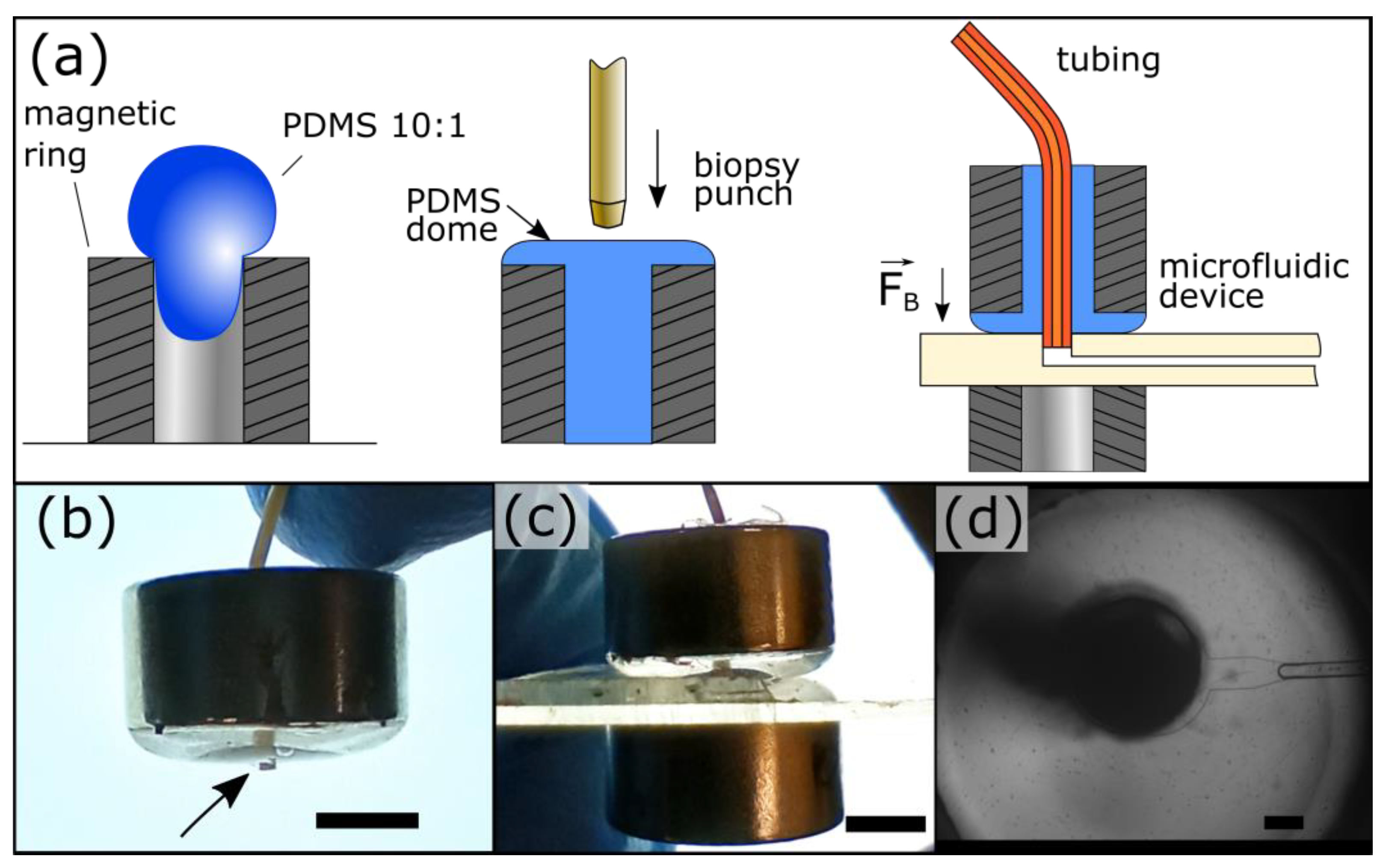 Micromachines 15 00803 g001