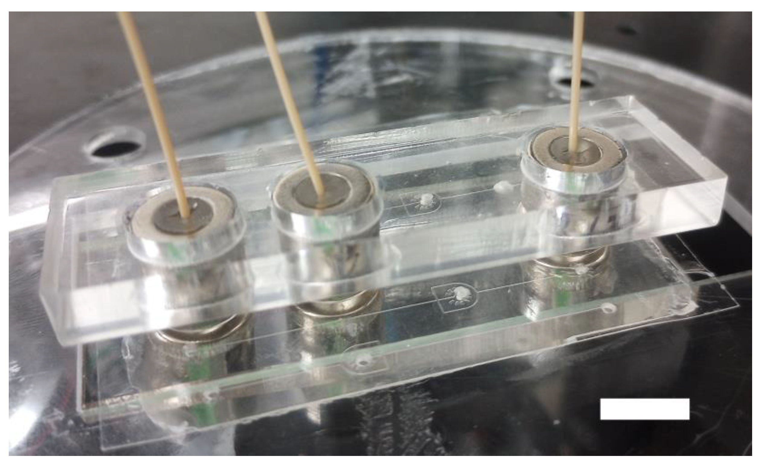 Micromachines 15 00803 g005