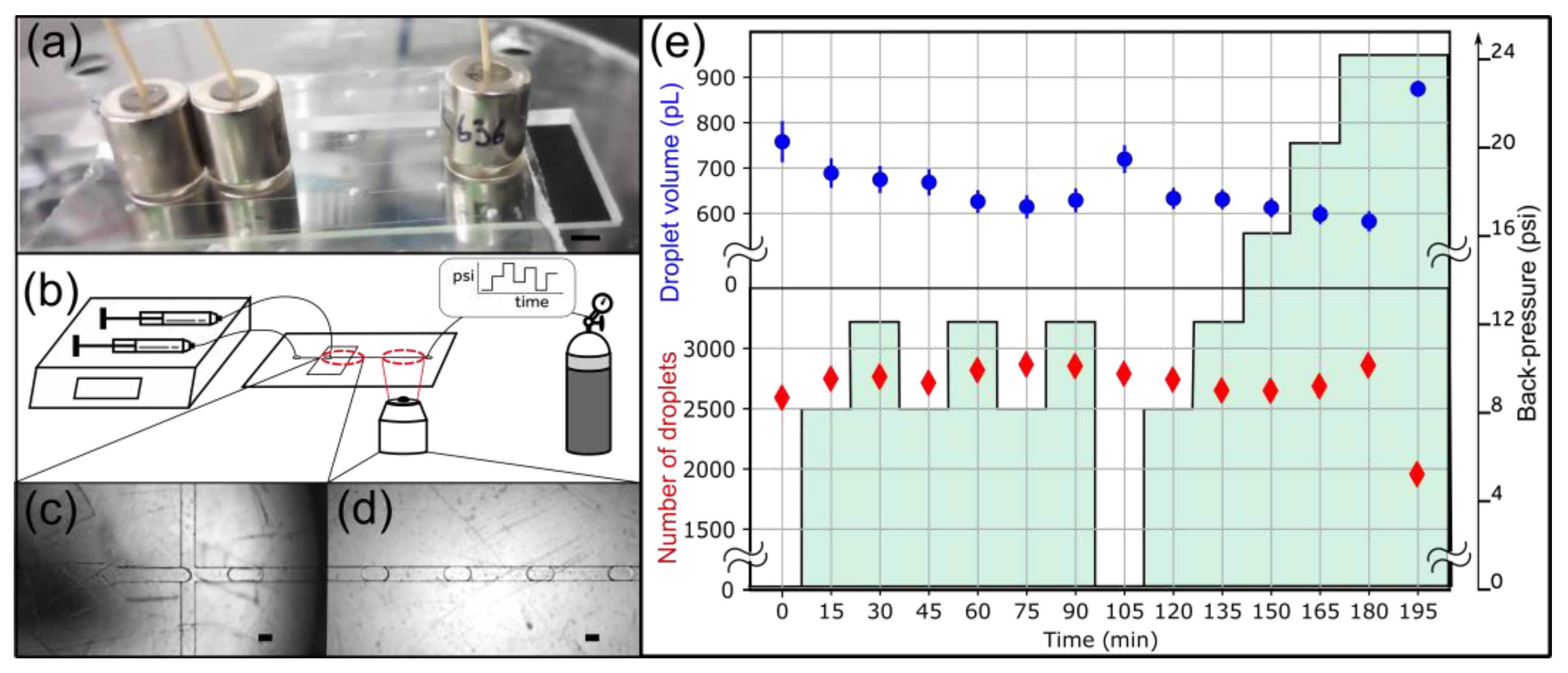 Micromachines 15 00803 g006