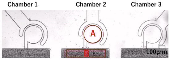 Micromachines 15 00869 g008