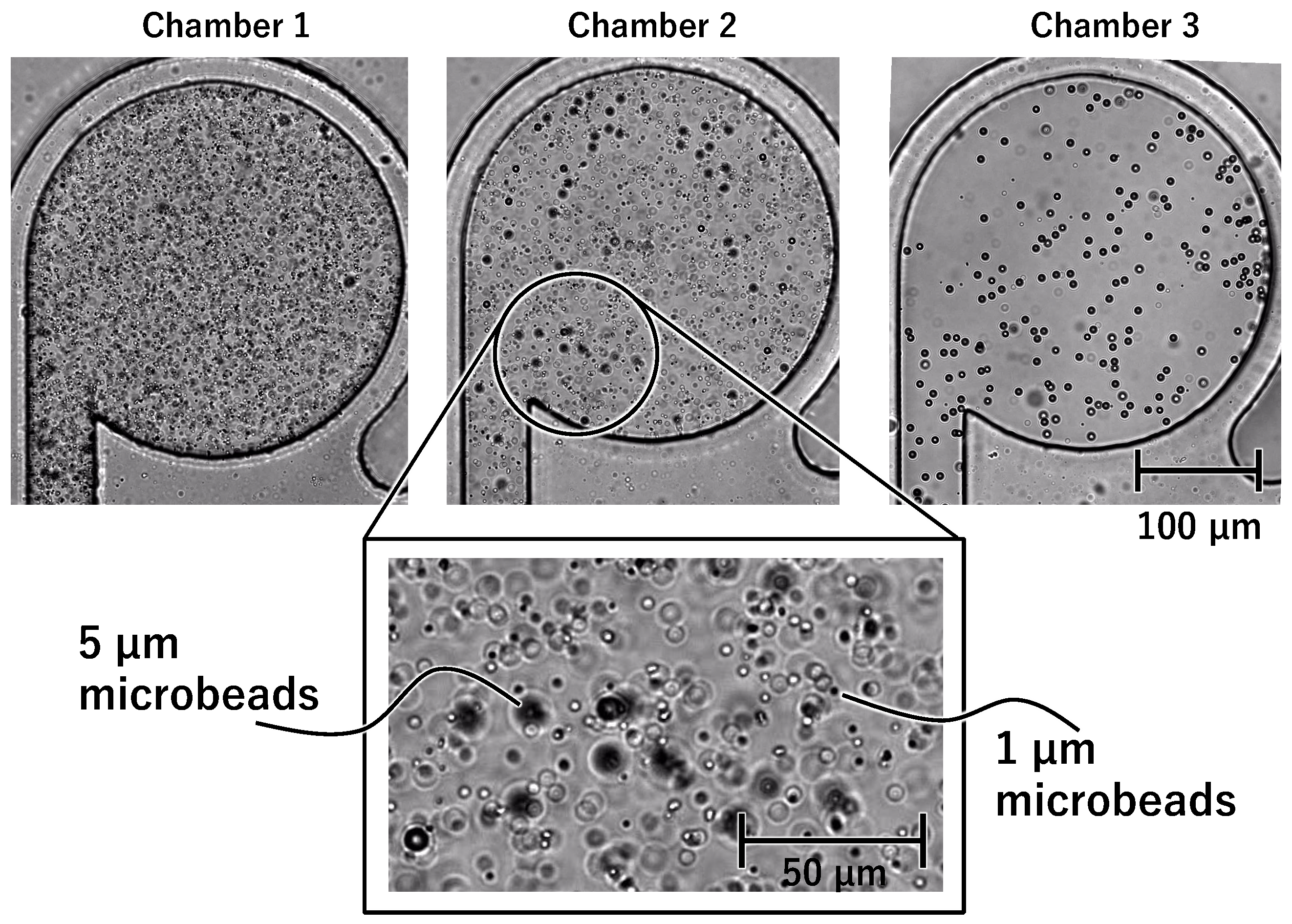 Micromachines 15 00869 g010