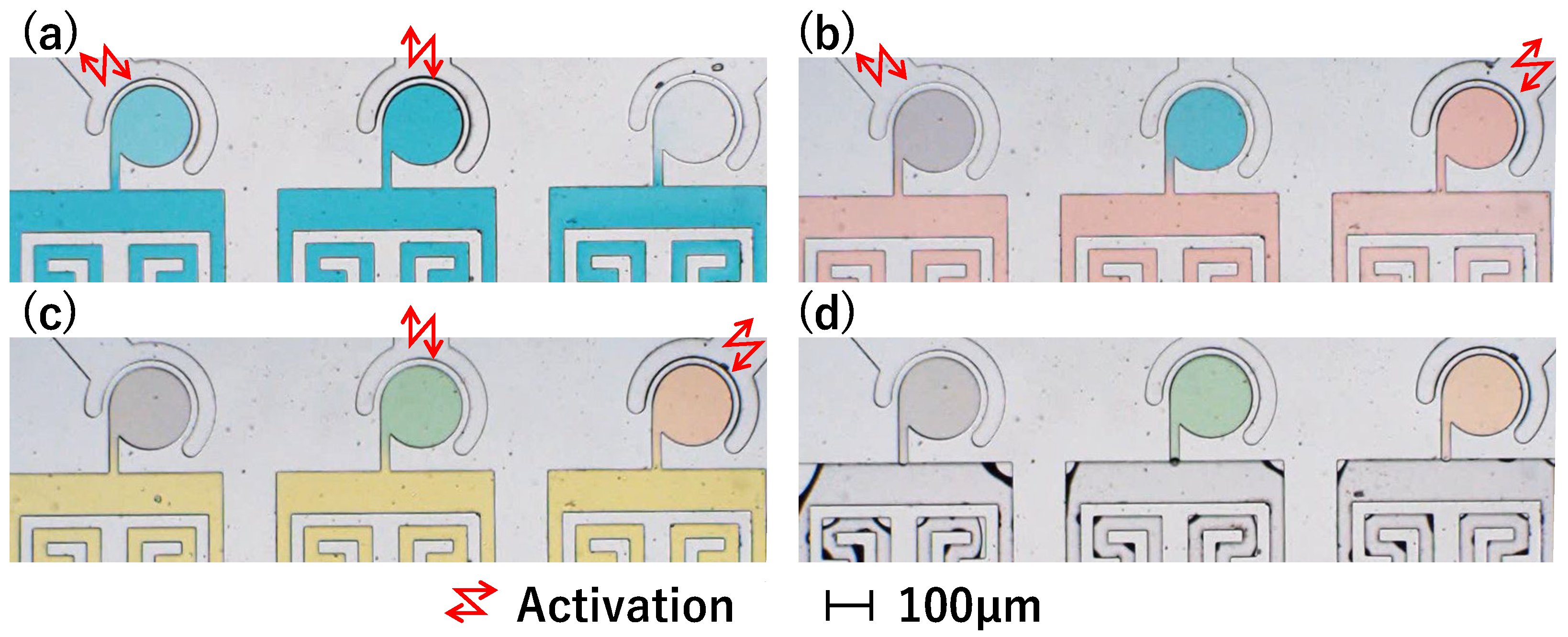 Micromachines 15 00869 g014