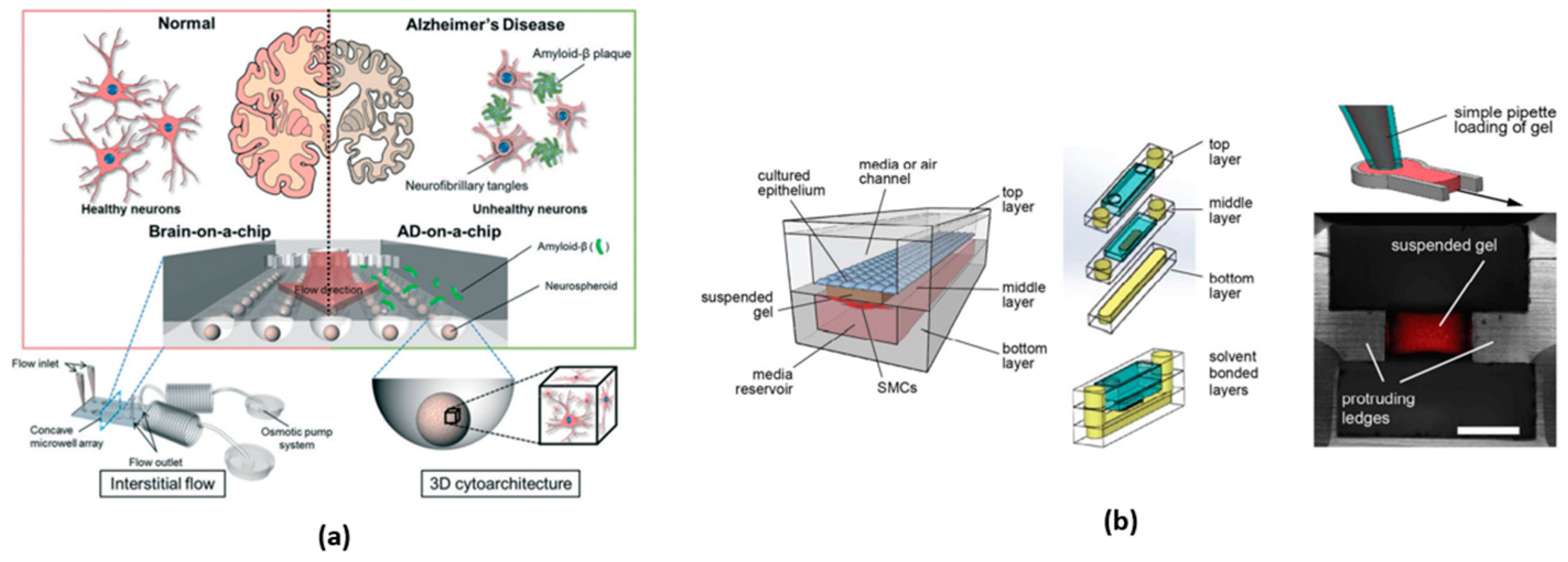 Micromachines 15 00873 g002