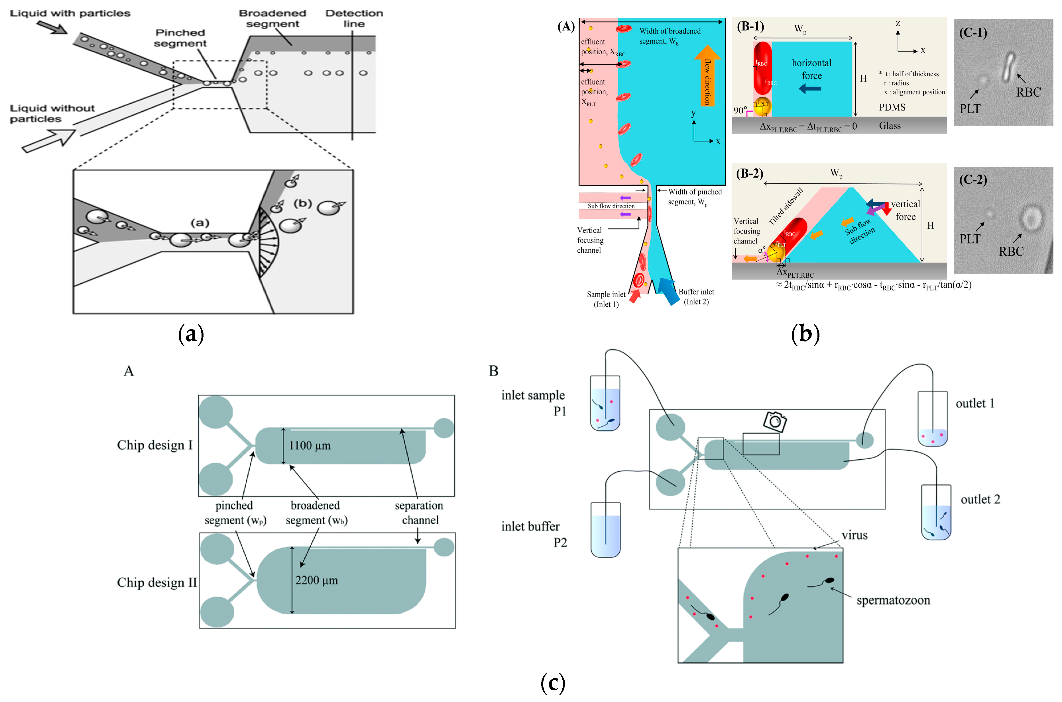 Micromachines 15 00893 g004