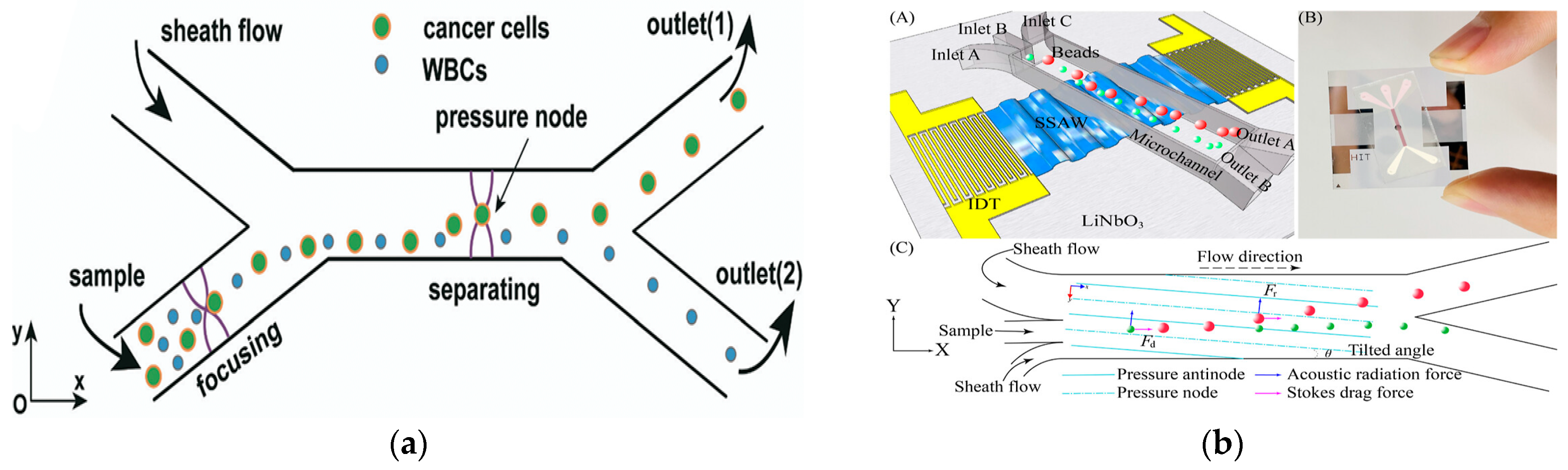Micromachines 15 00893 g007
