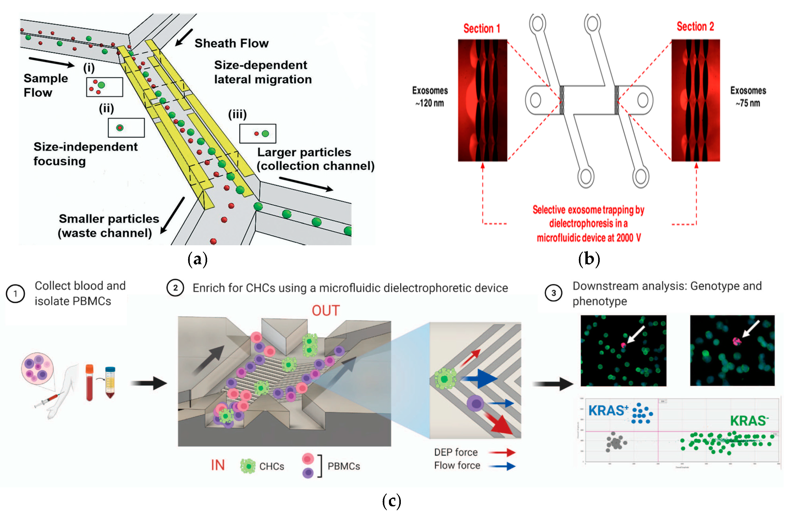 Micromachines 15 00893 g009