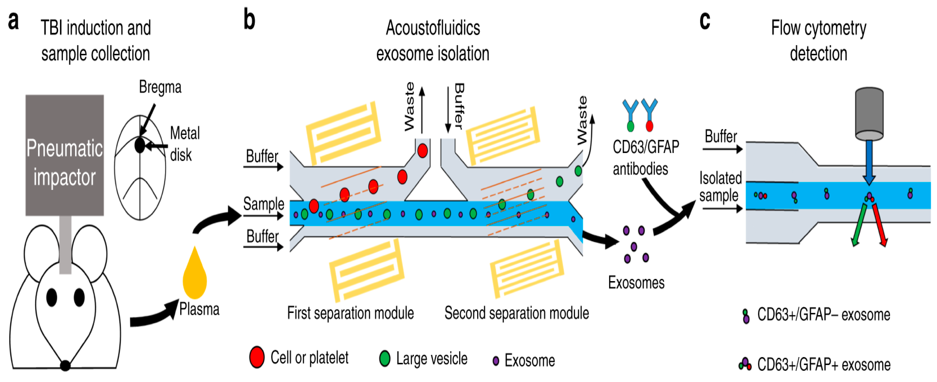 Micromachines 15 00893 g017