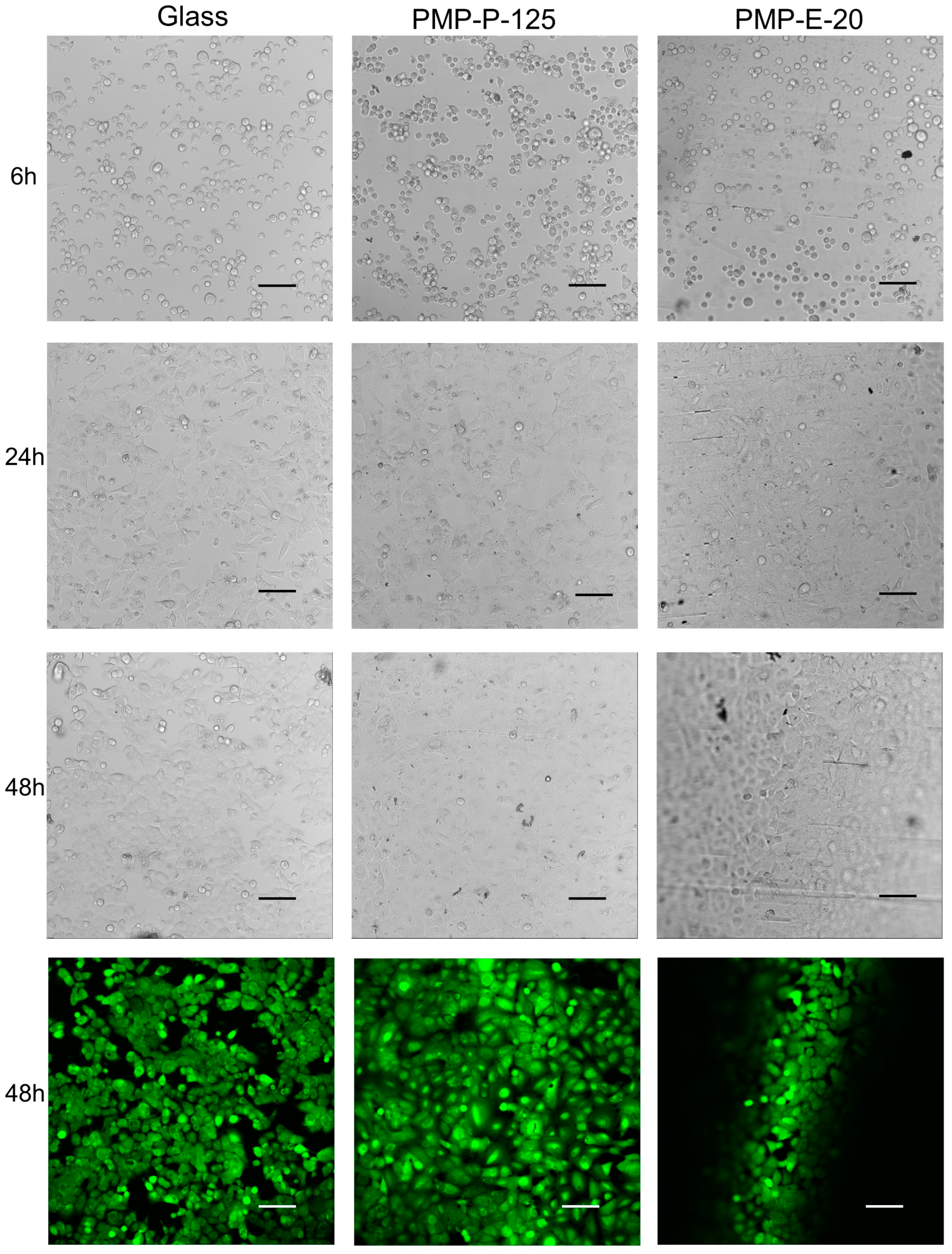 Micromachines 15 00898 g005