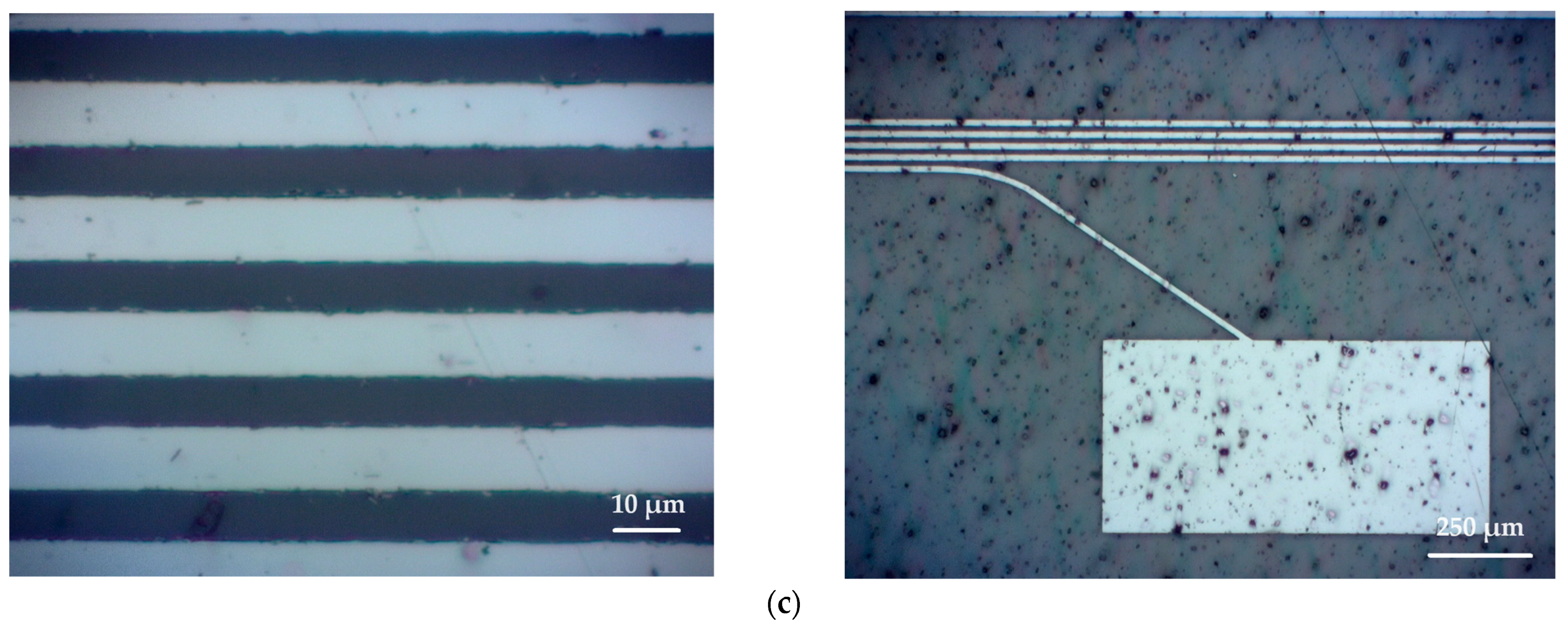 Micromachines 15 00921 g011b