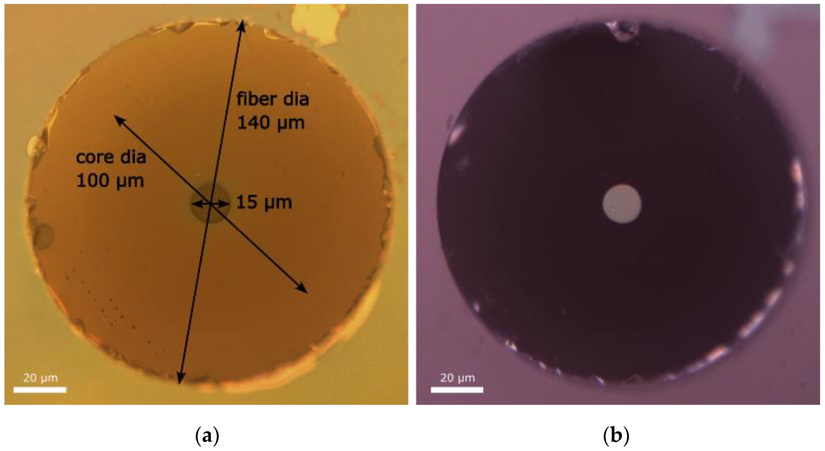 Micromachines 15 00940 g002