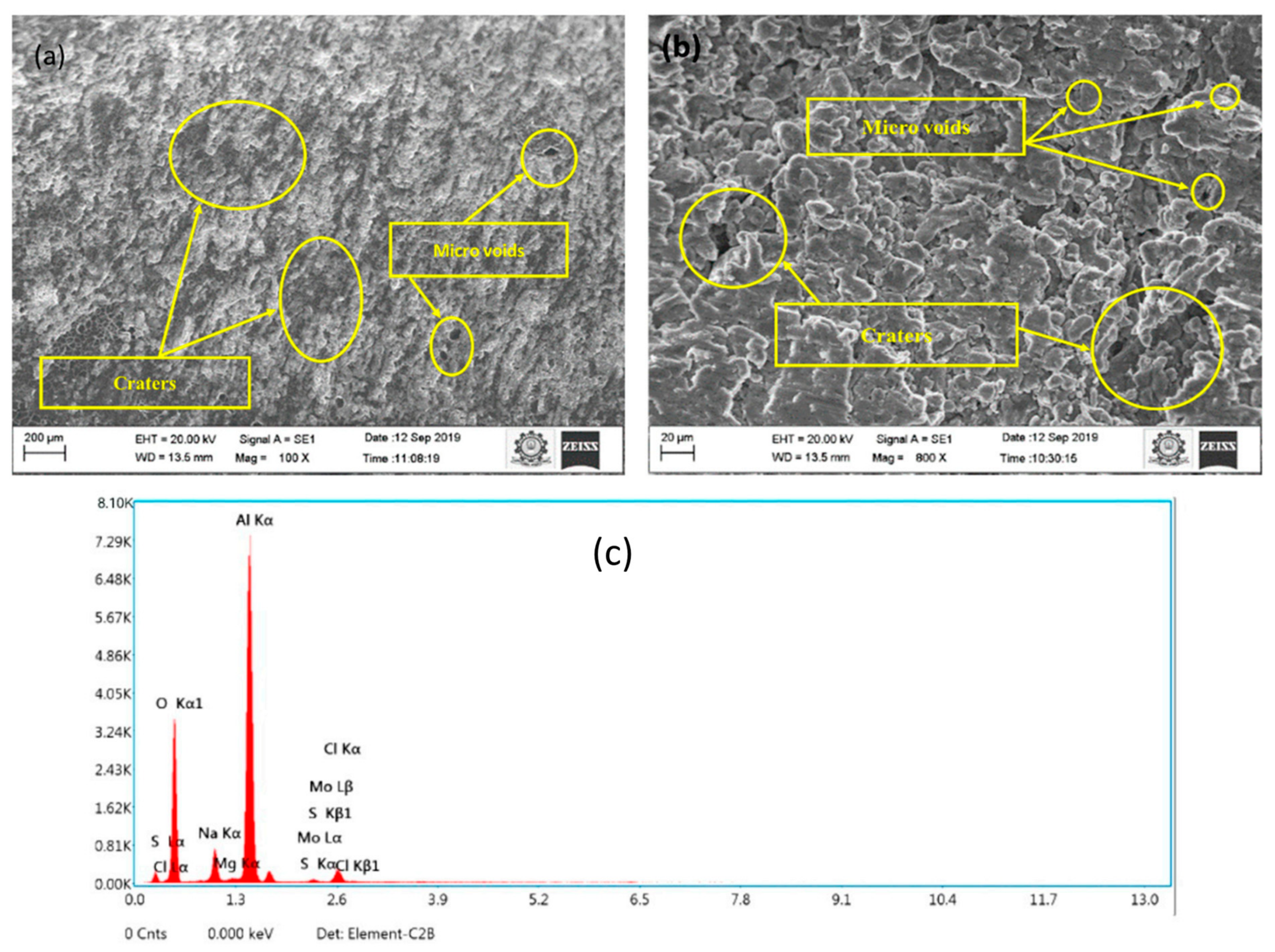 Micromachines 15 00947 g005