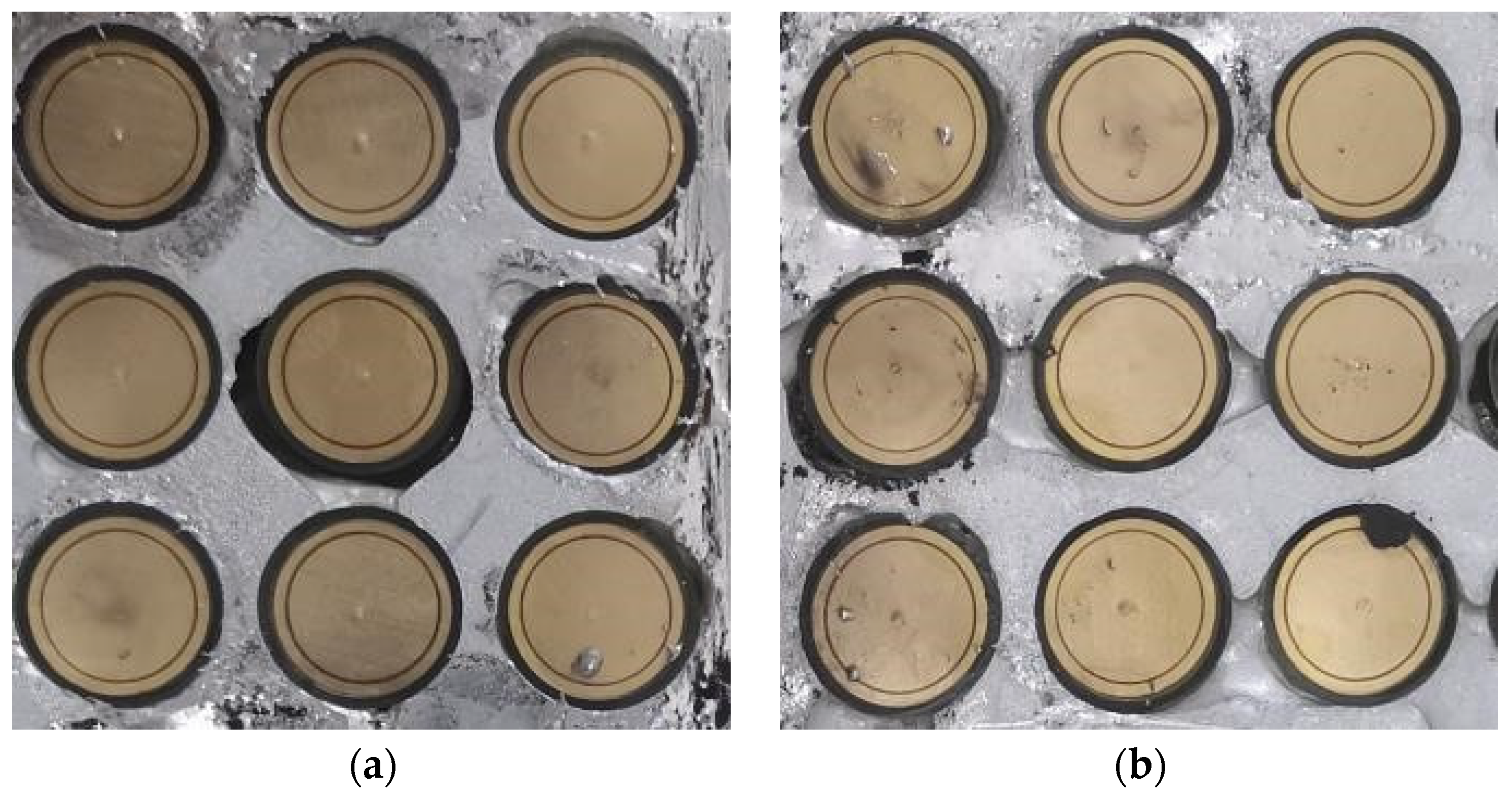 Micromachines 15 00948 g010