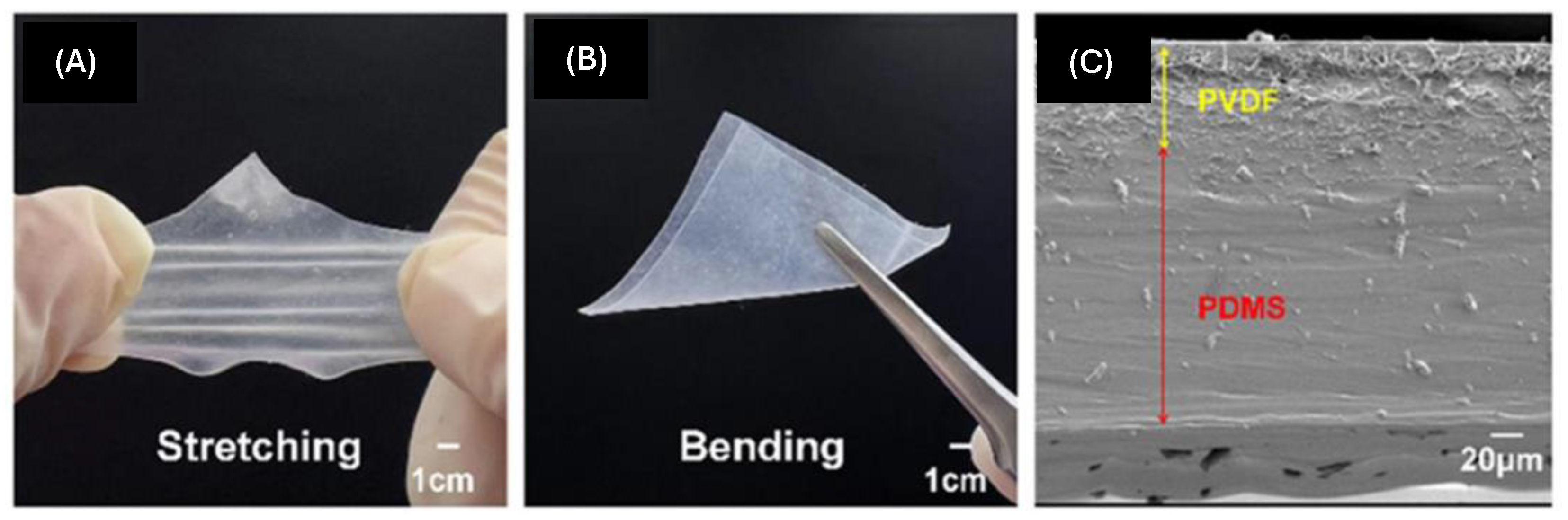 Micromachines 15 00982 g019