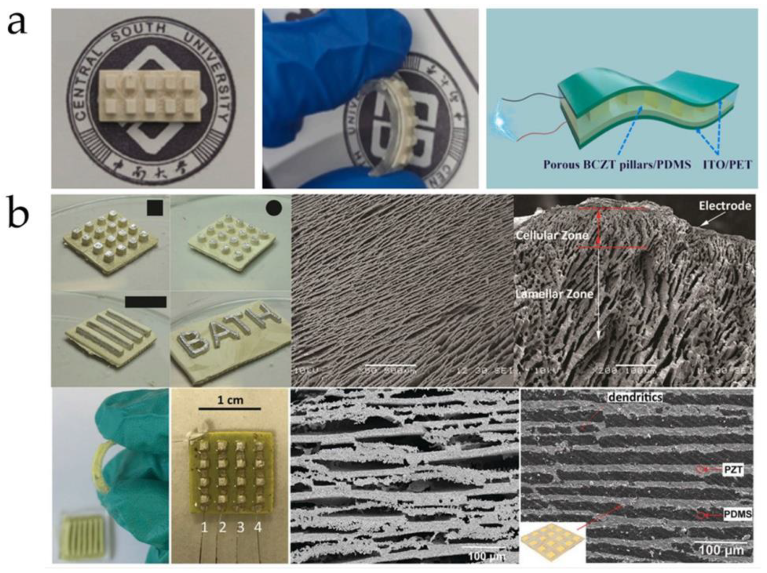 Micromachines 15 00982 g027