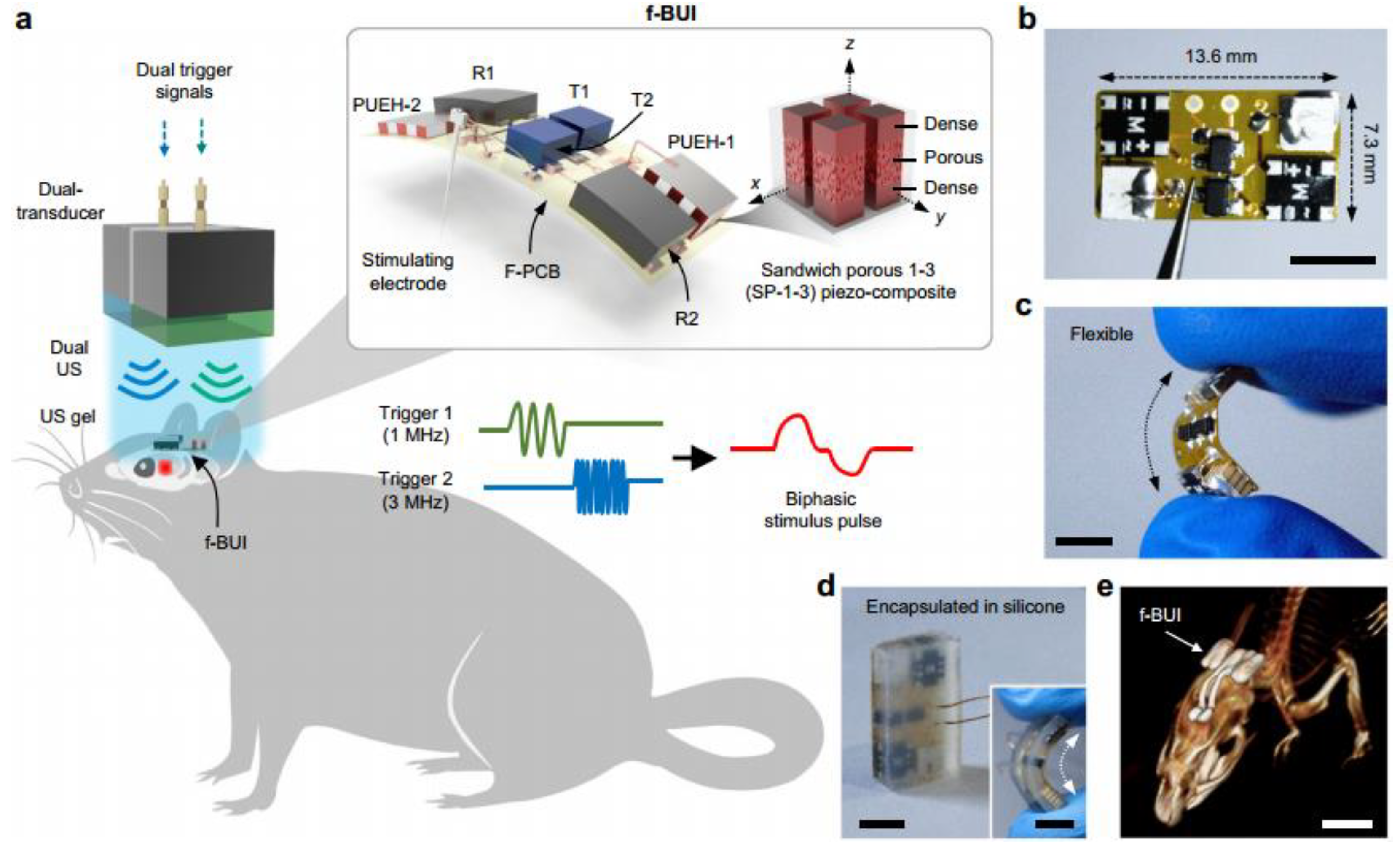 Micromachines 15 00982 g048