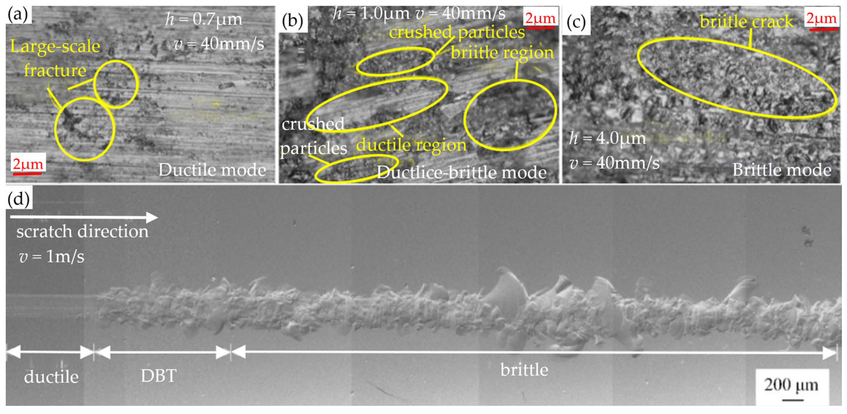 Micromachines 15 01021 g009
