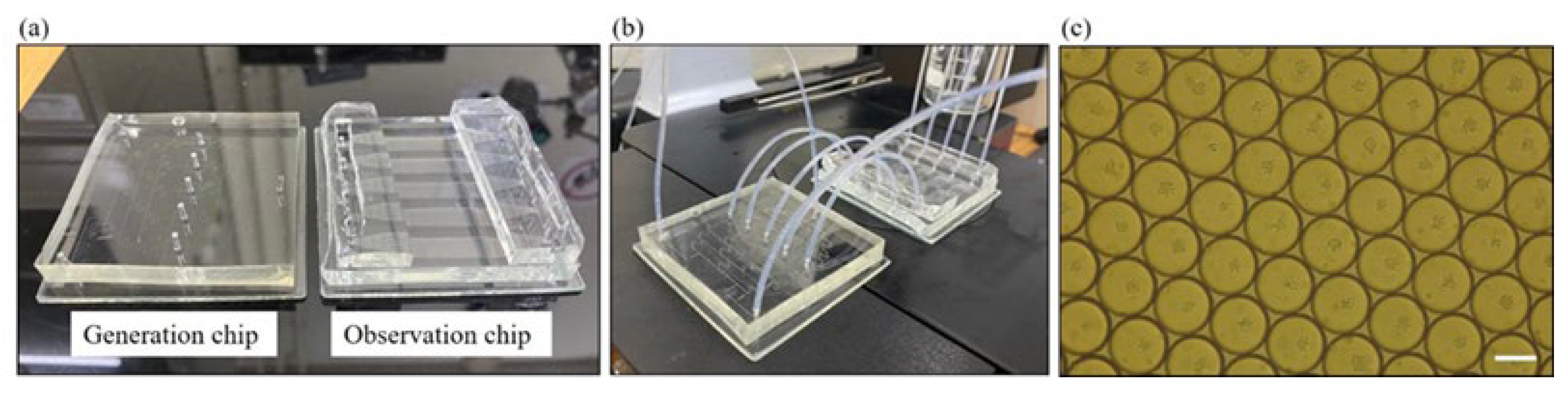 Micromachines 15 01034 g002