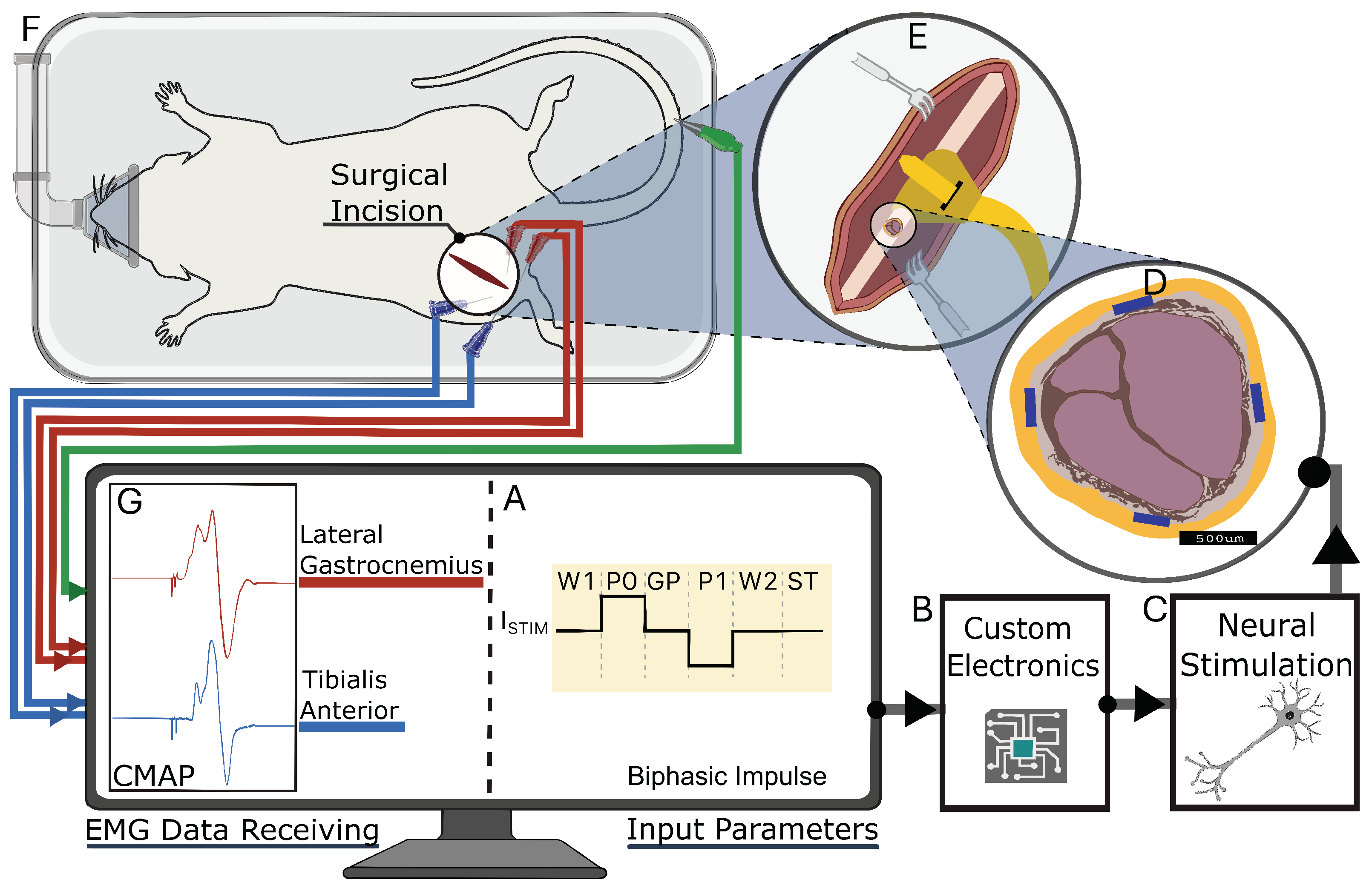 Micromachines 15 01036 g003