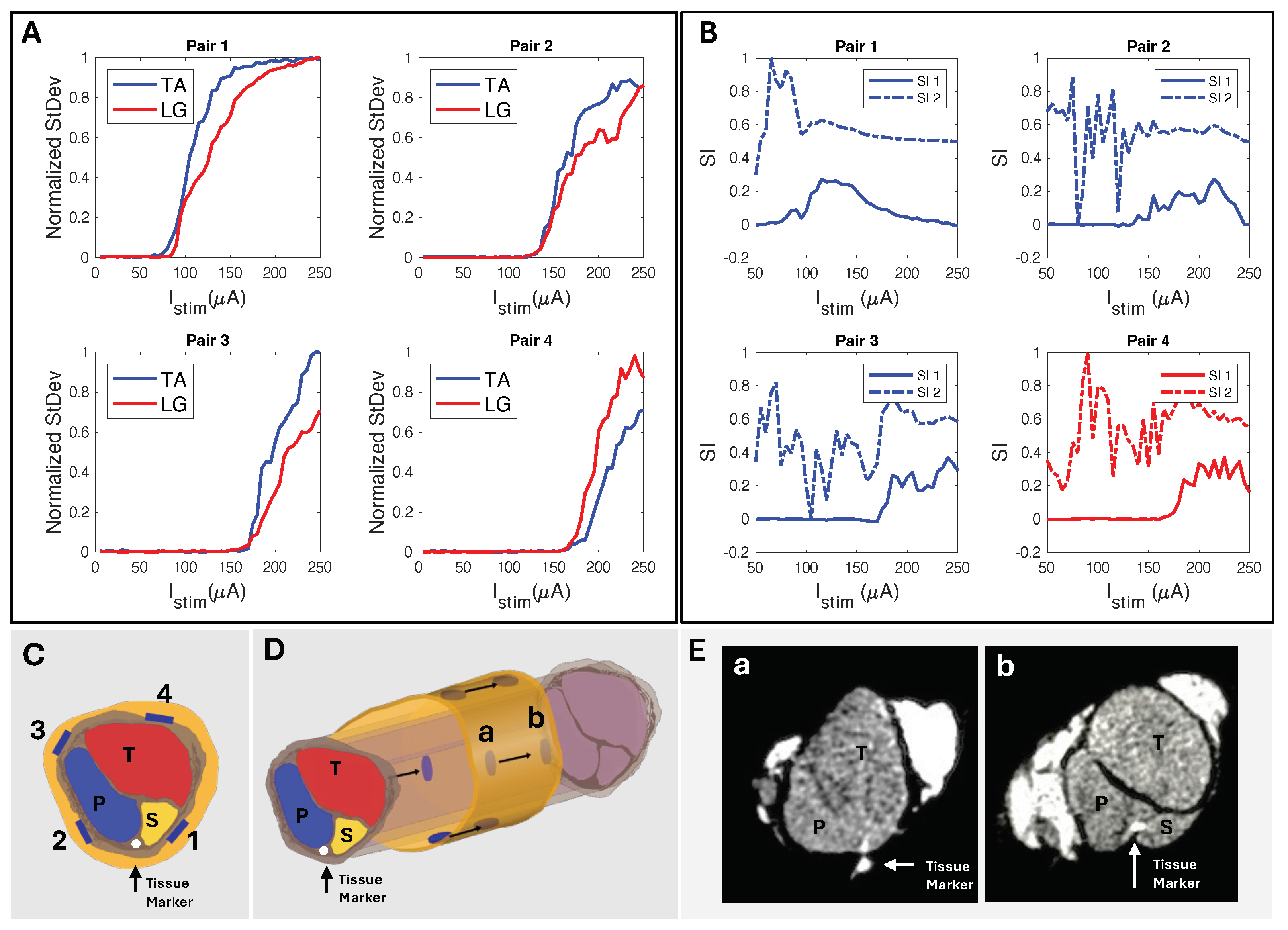 Micromachines 15 01036 g009