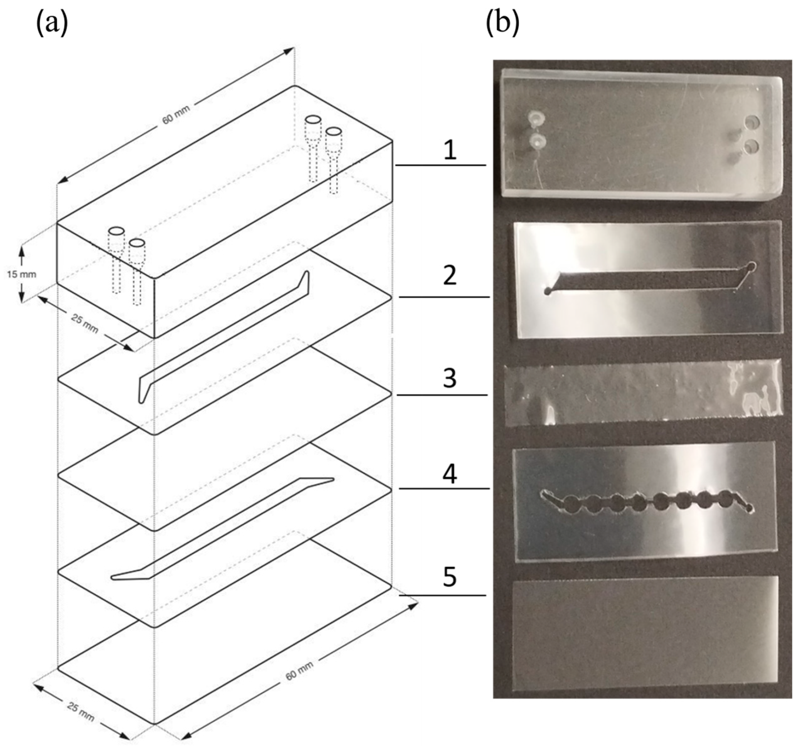 Micromachines 15 01037 g001