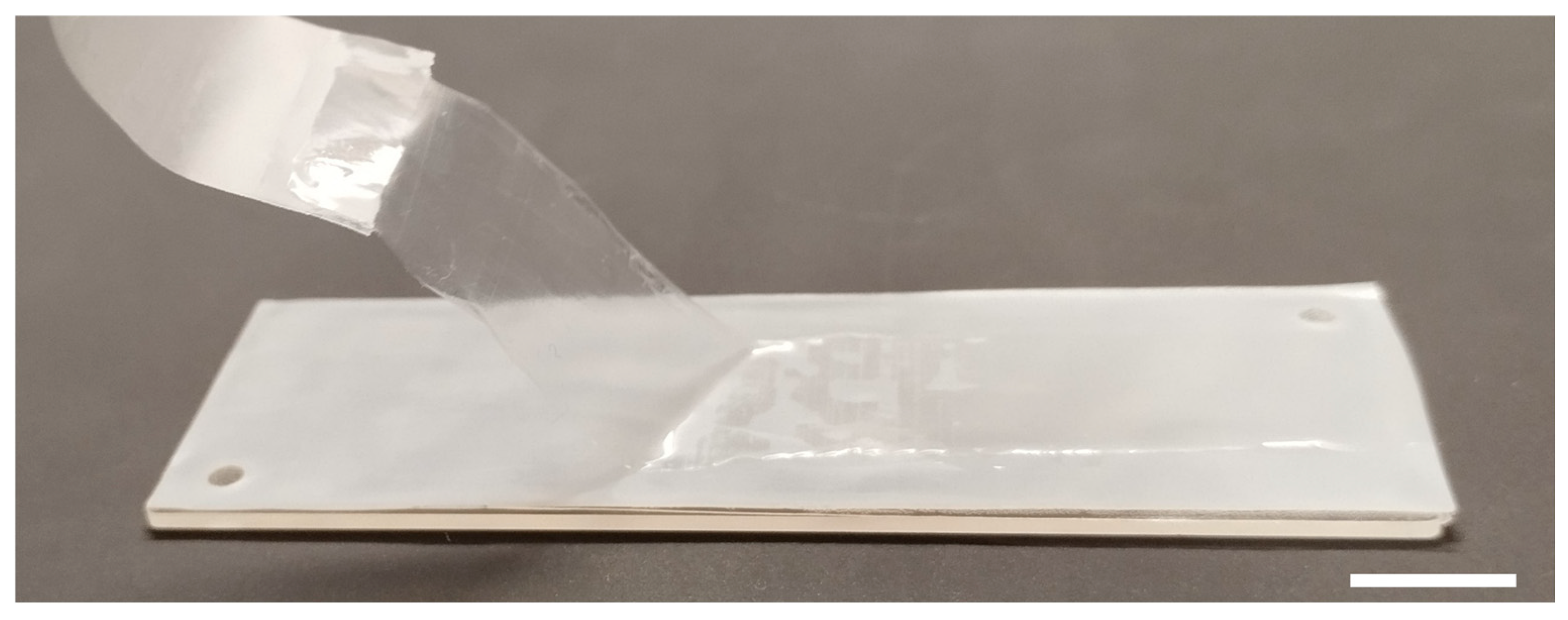 Micromachines 15 01037 g002