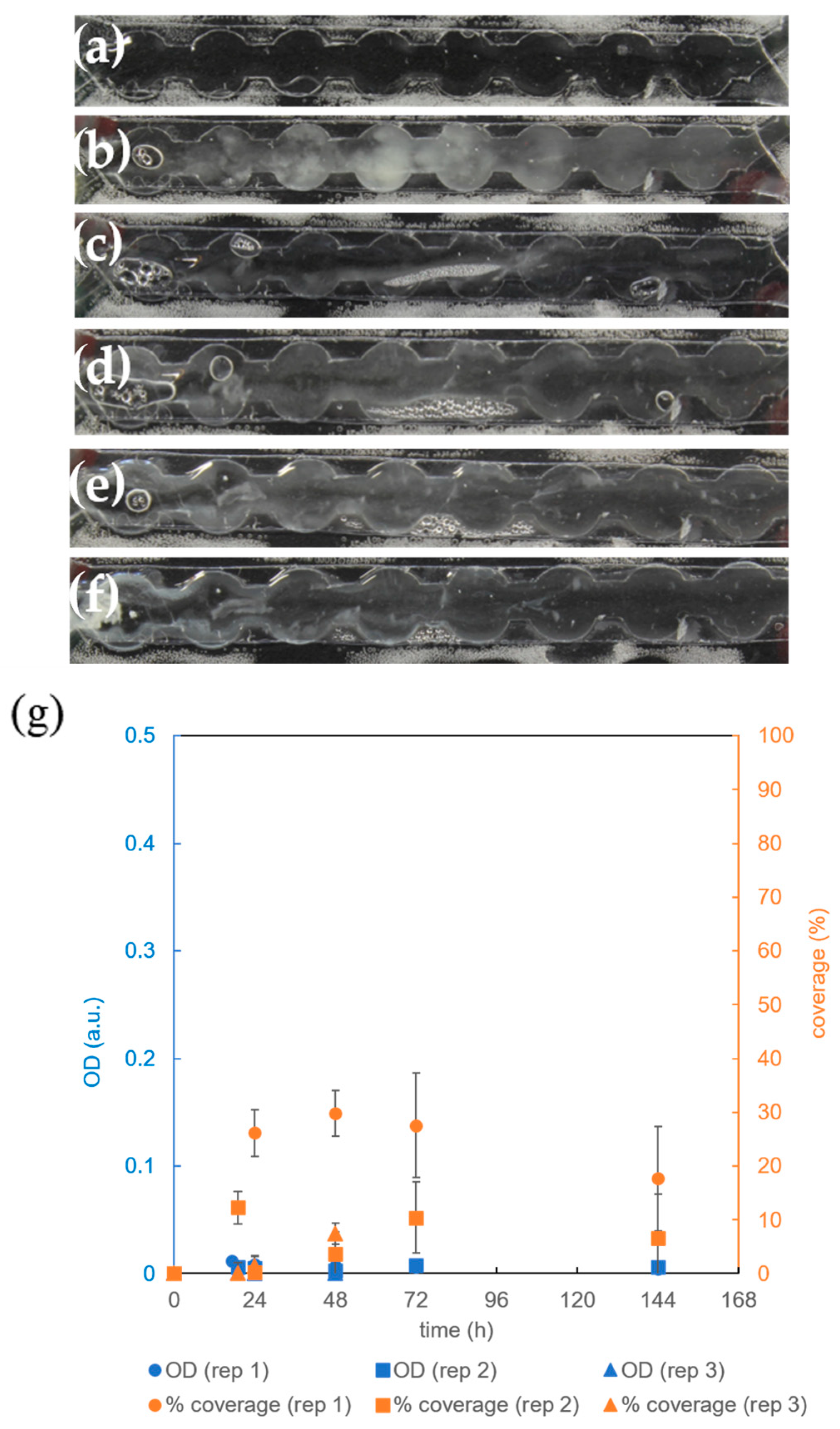 Micromachines 15 01037 g008