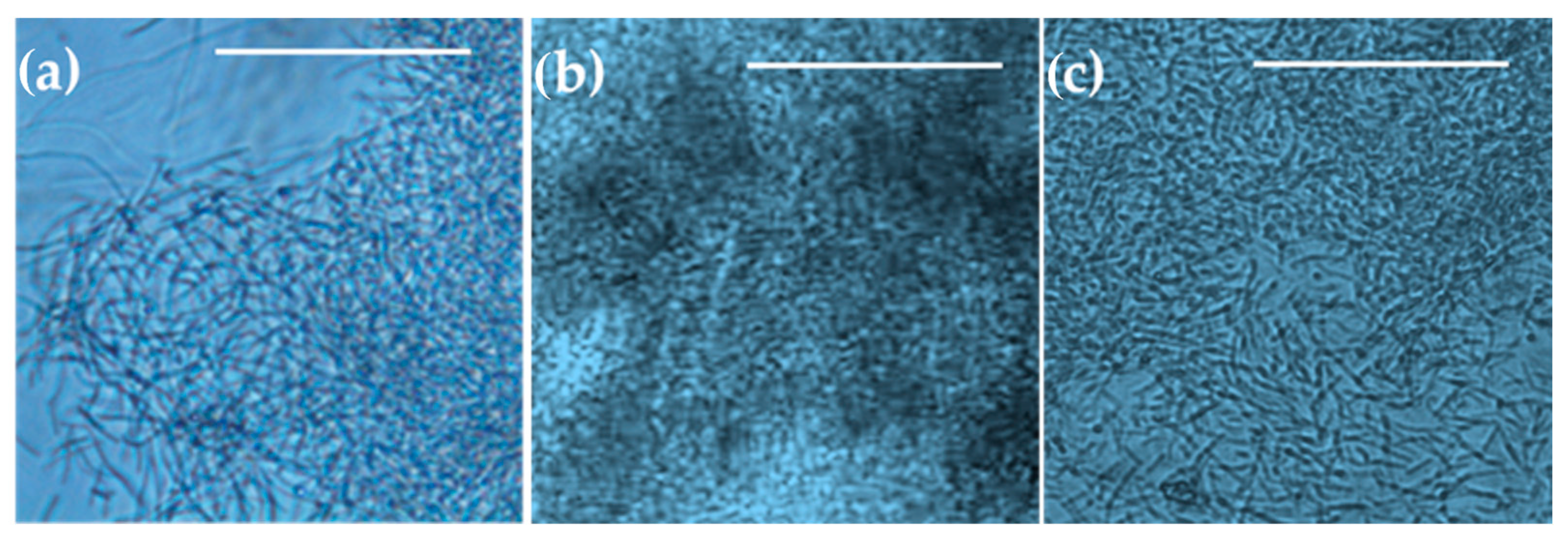 Micromachines 15 01037 g010