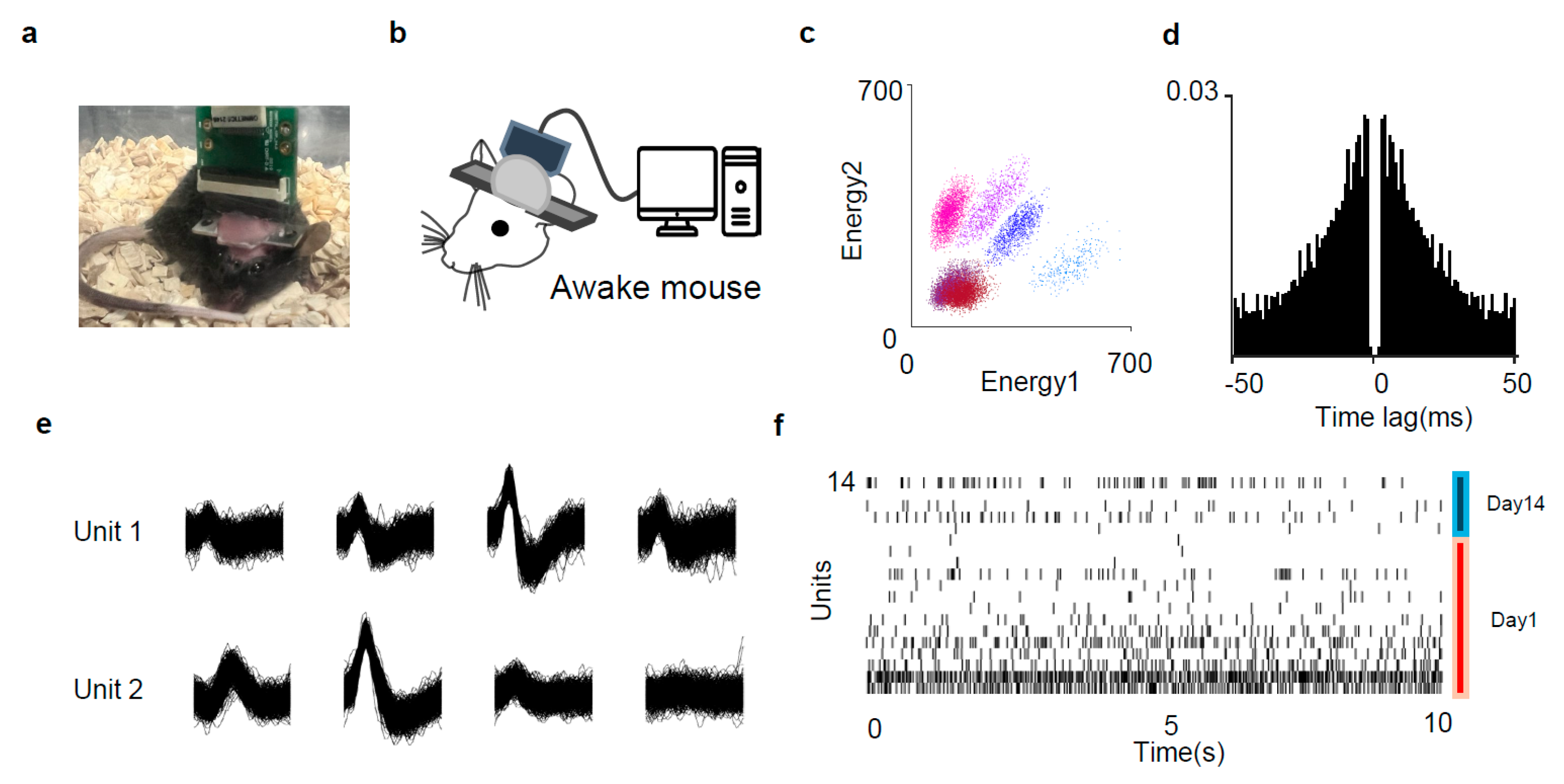 Micromachines 15 01058 g006