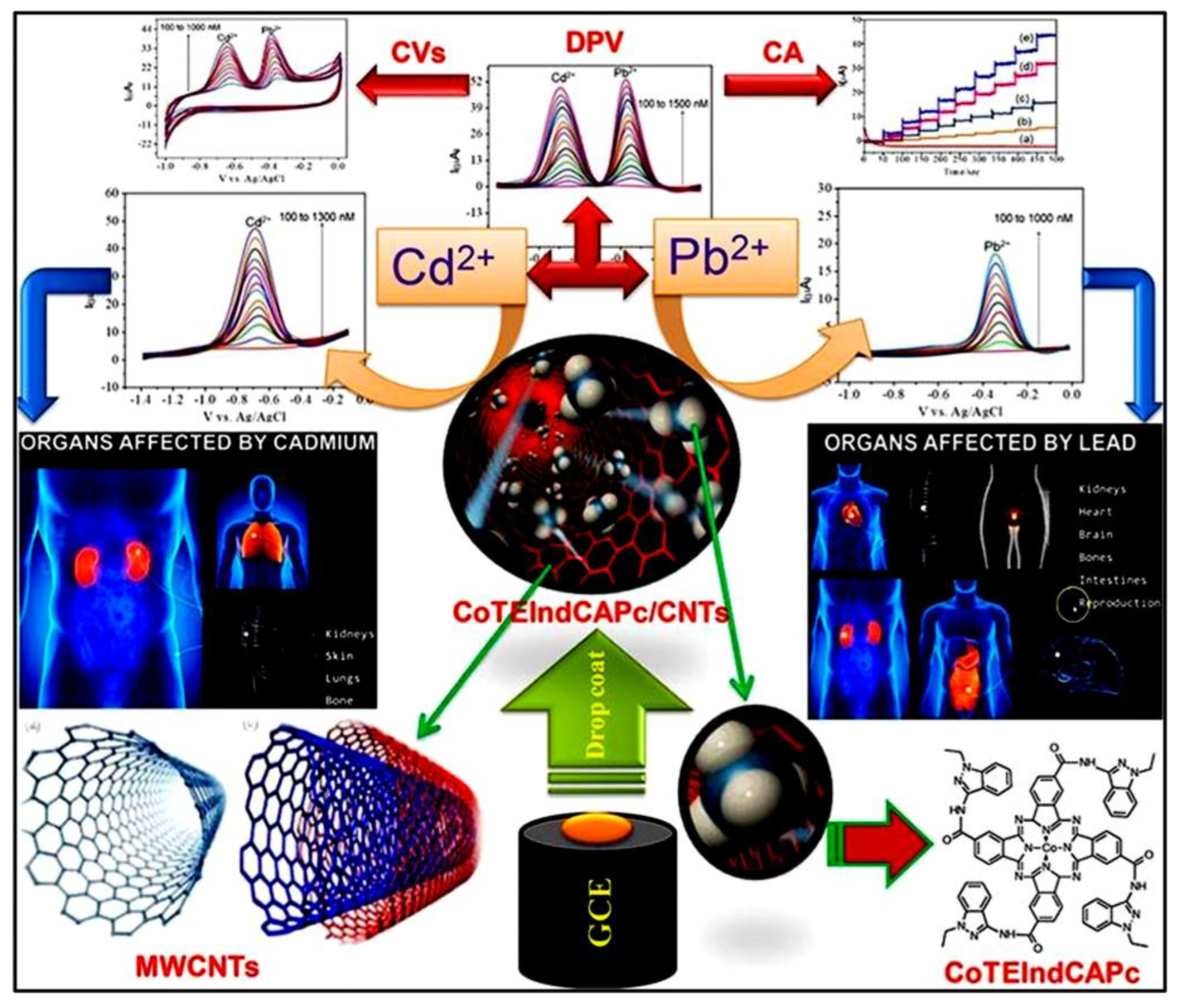 Micromachines 15 01061 g007