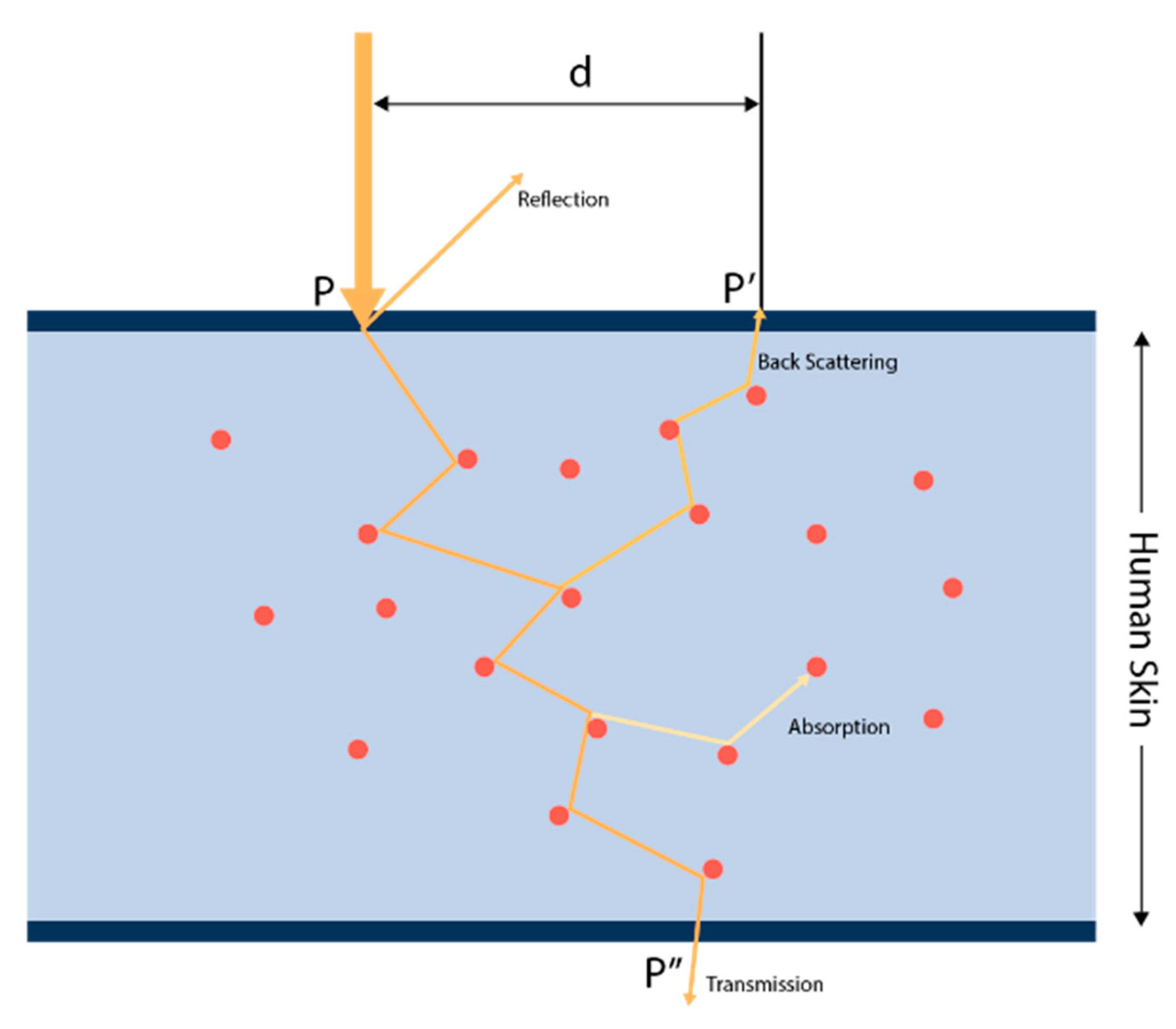 Micromachines 15 01067 g008
