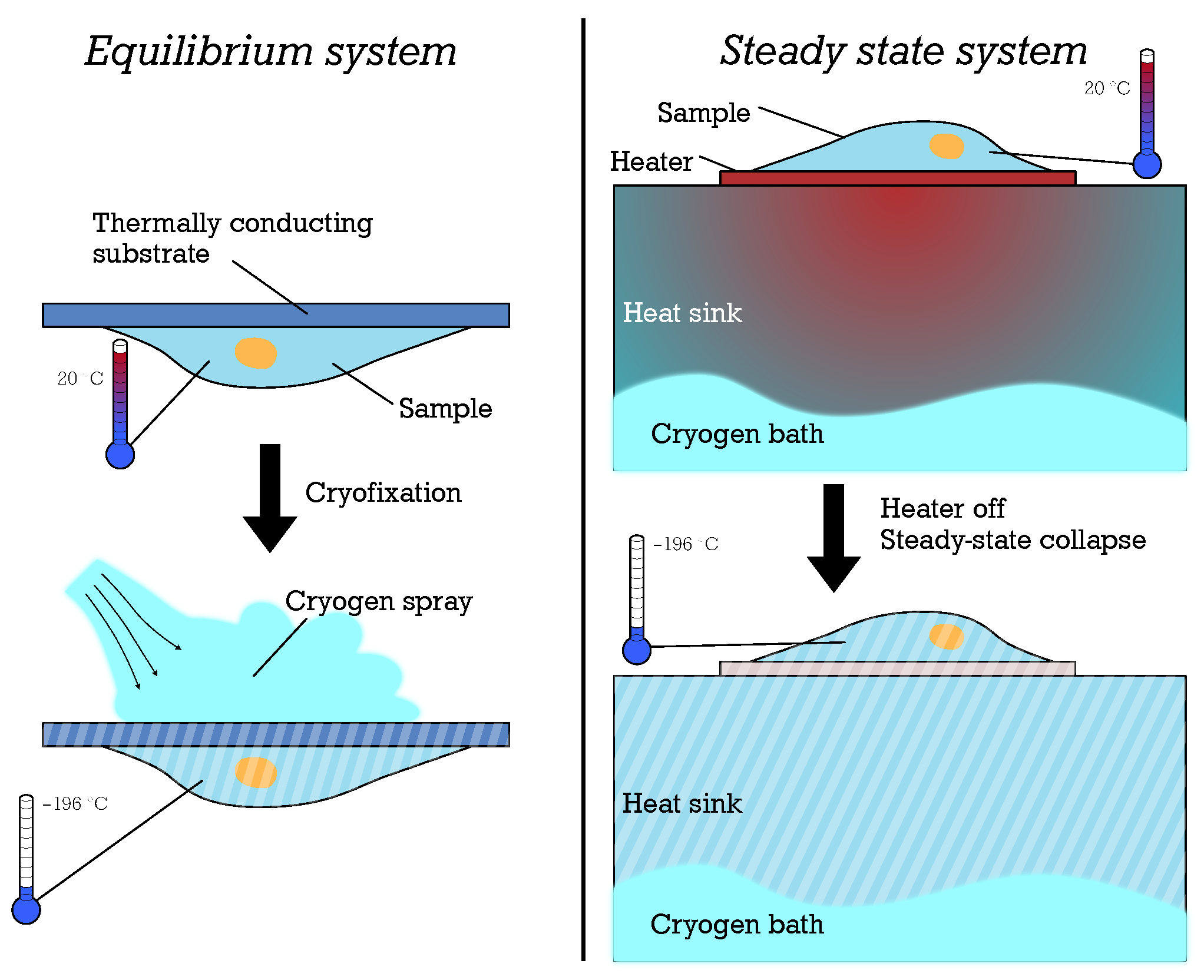 Micromachines 15 01069 g002