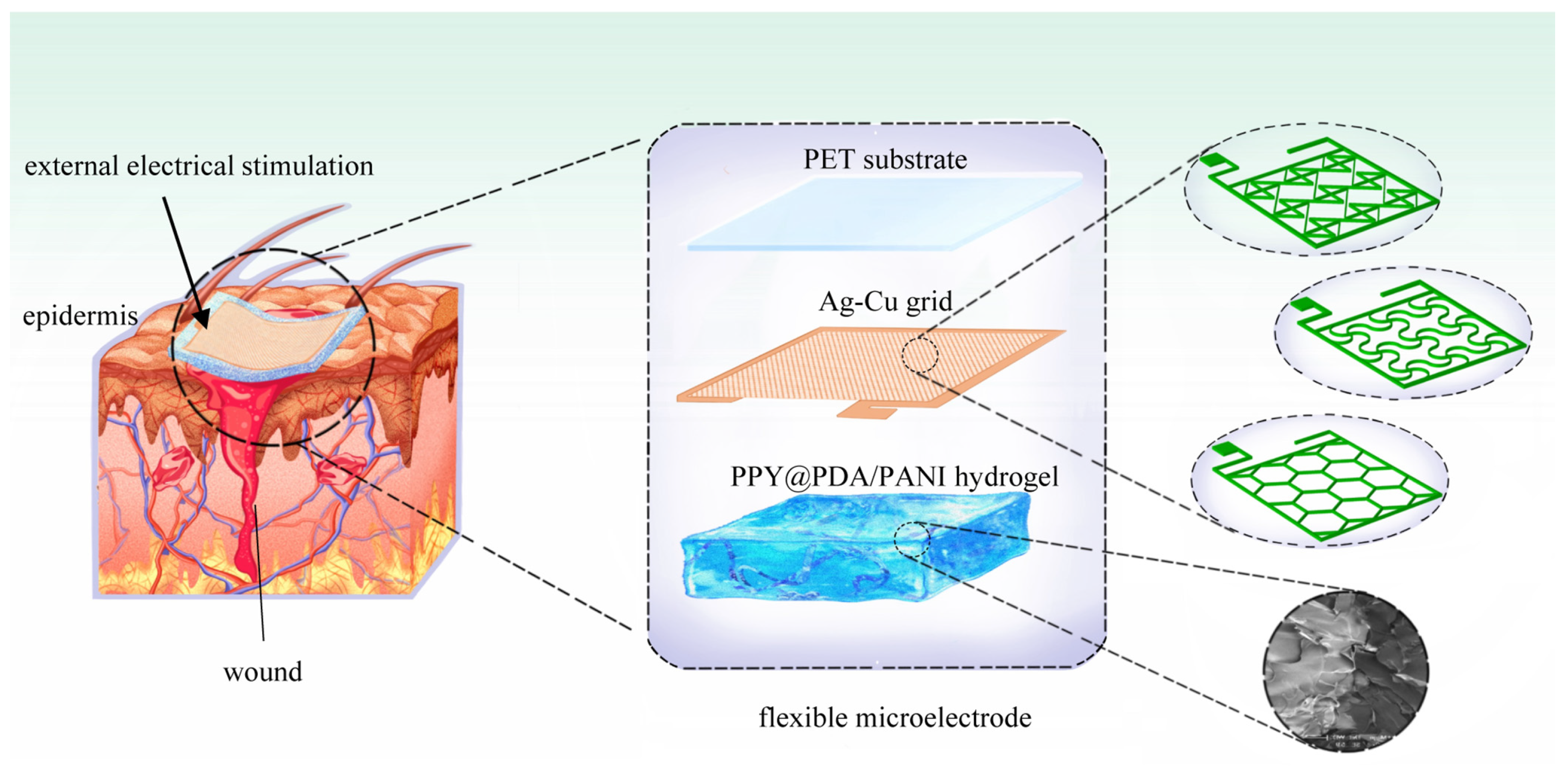Micromachines 15 01104 g001