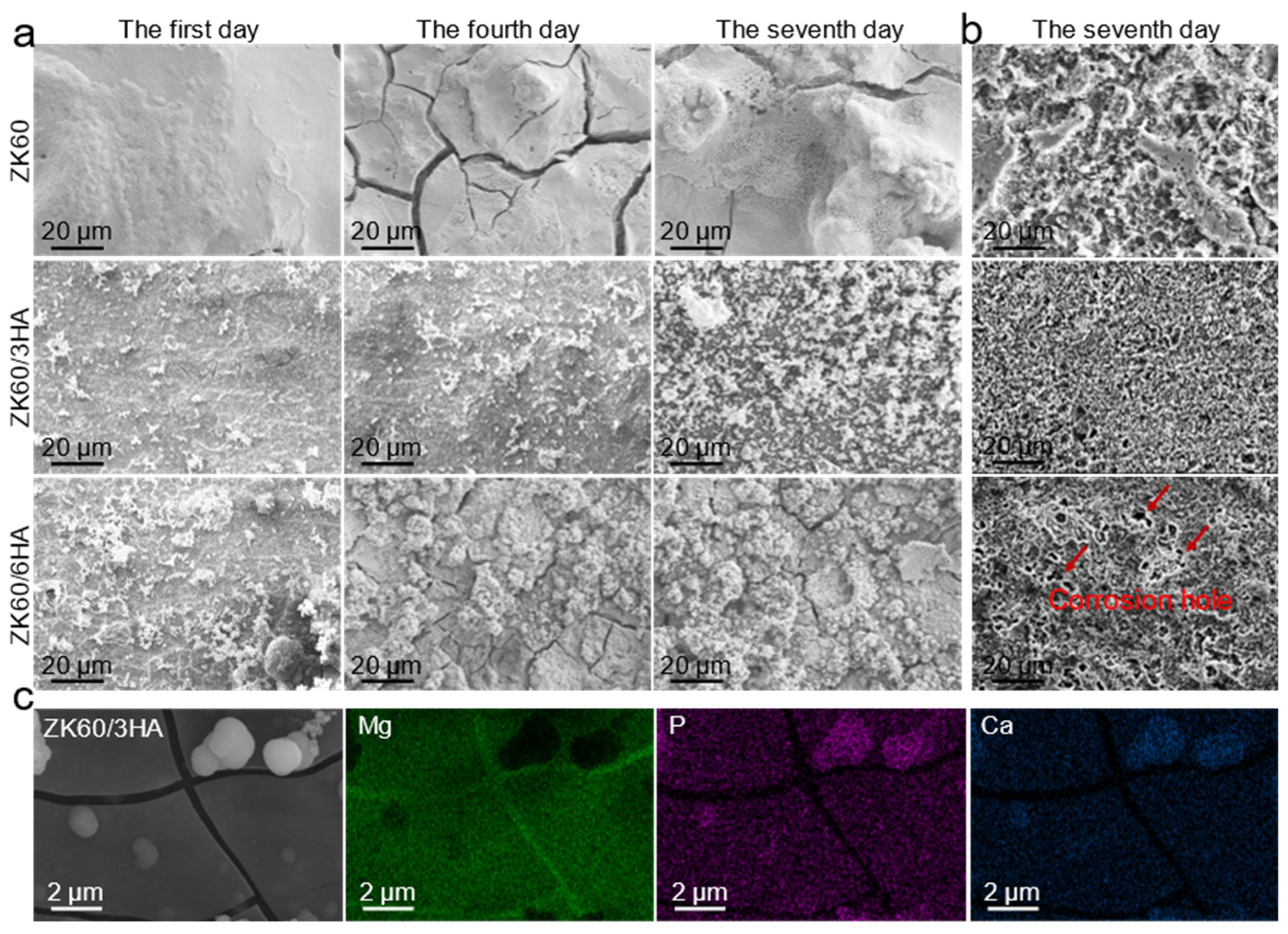 Micromachines 15 01156 g005