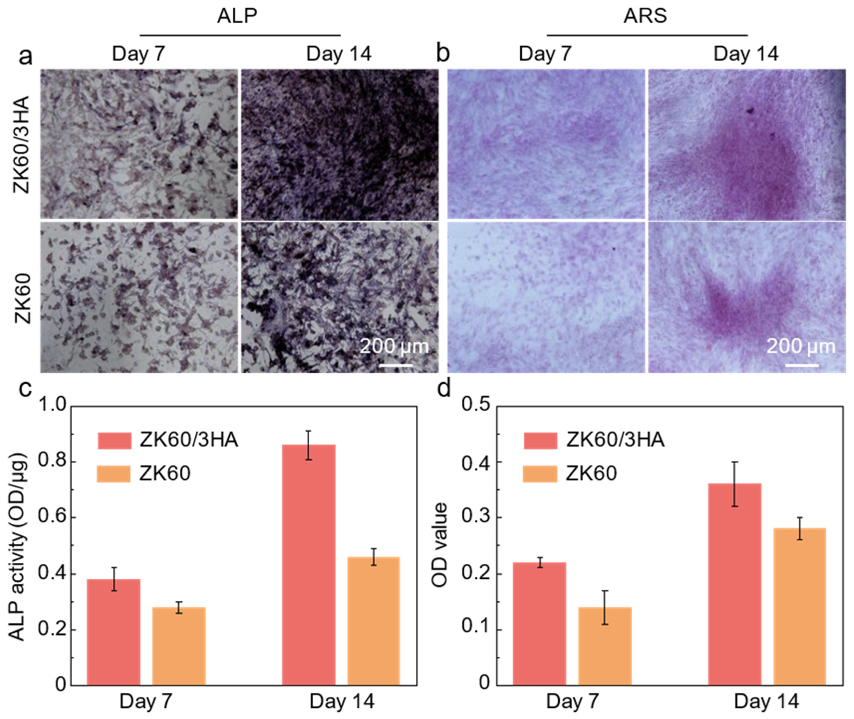 Micromachines 15 01156 g007