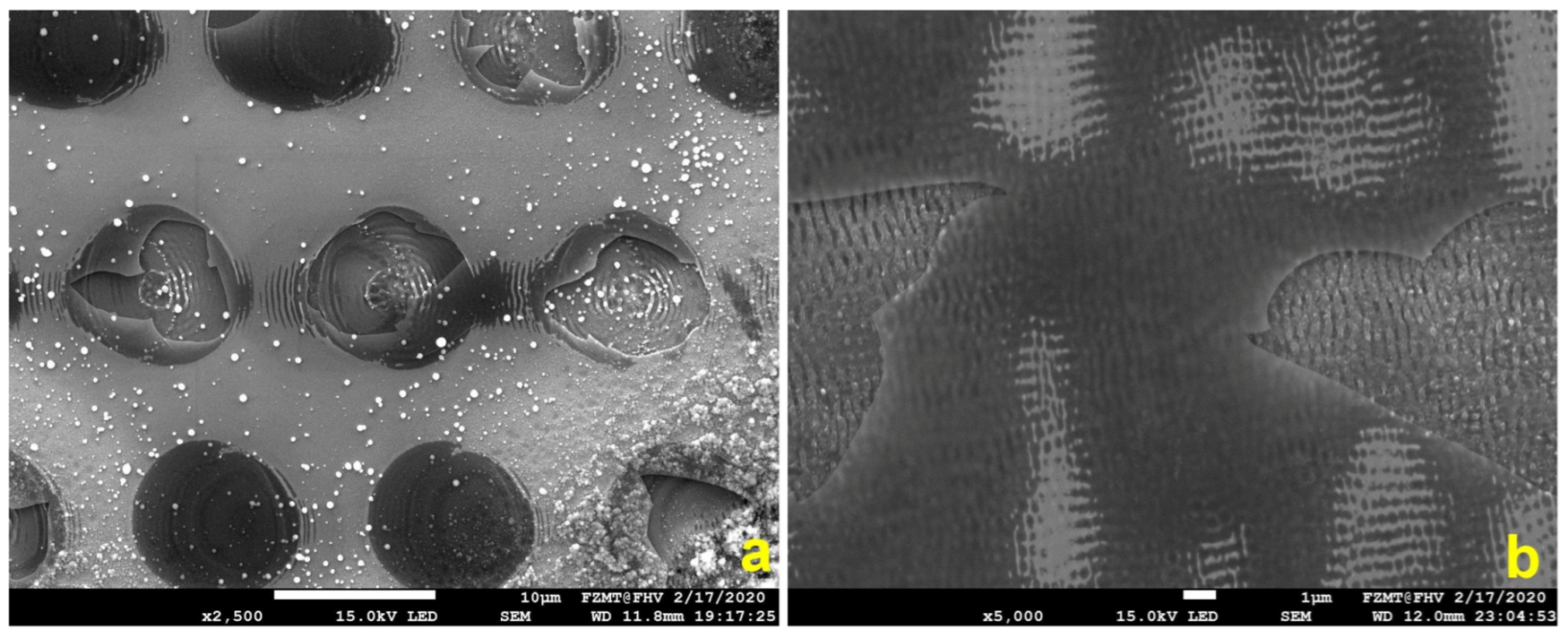 Micromachines 15 01161 g001