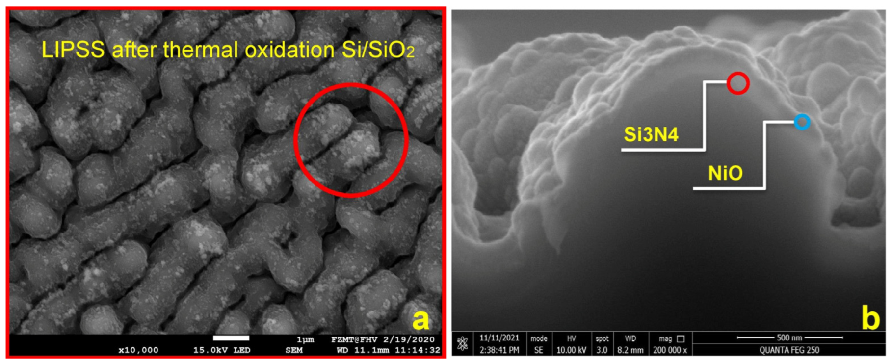 Micromachines 15 01161 g004
