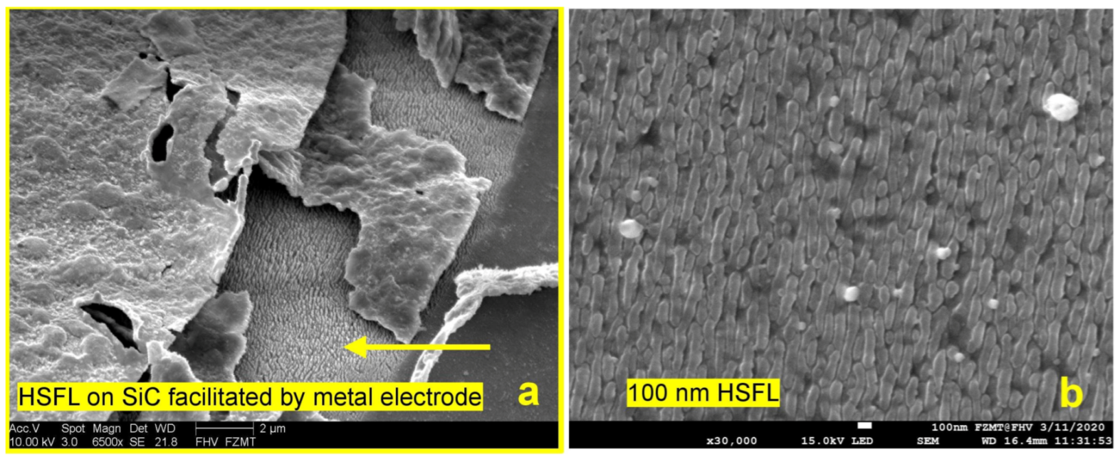 Micromachines 15 01161 g006