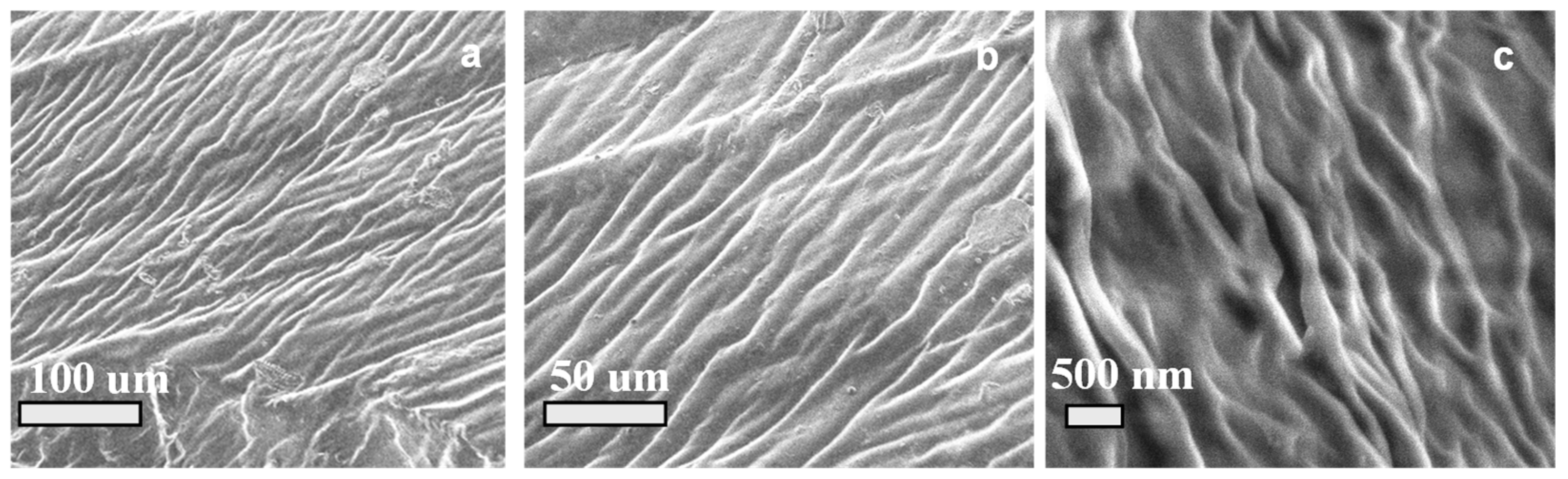 Micromachines 15 01208 g003
