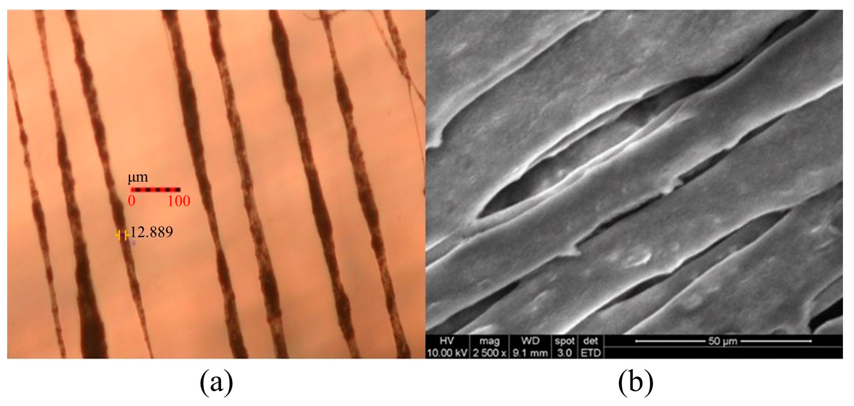 Micromachines 15 01213 g011