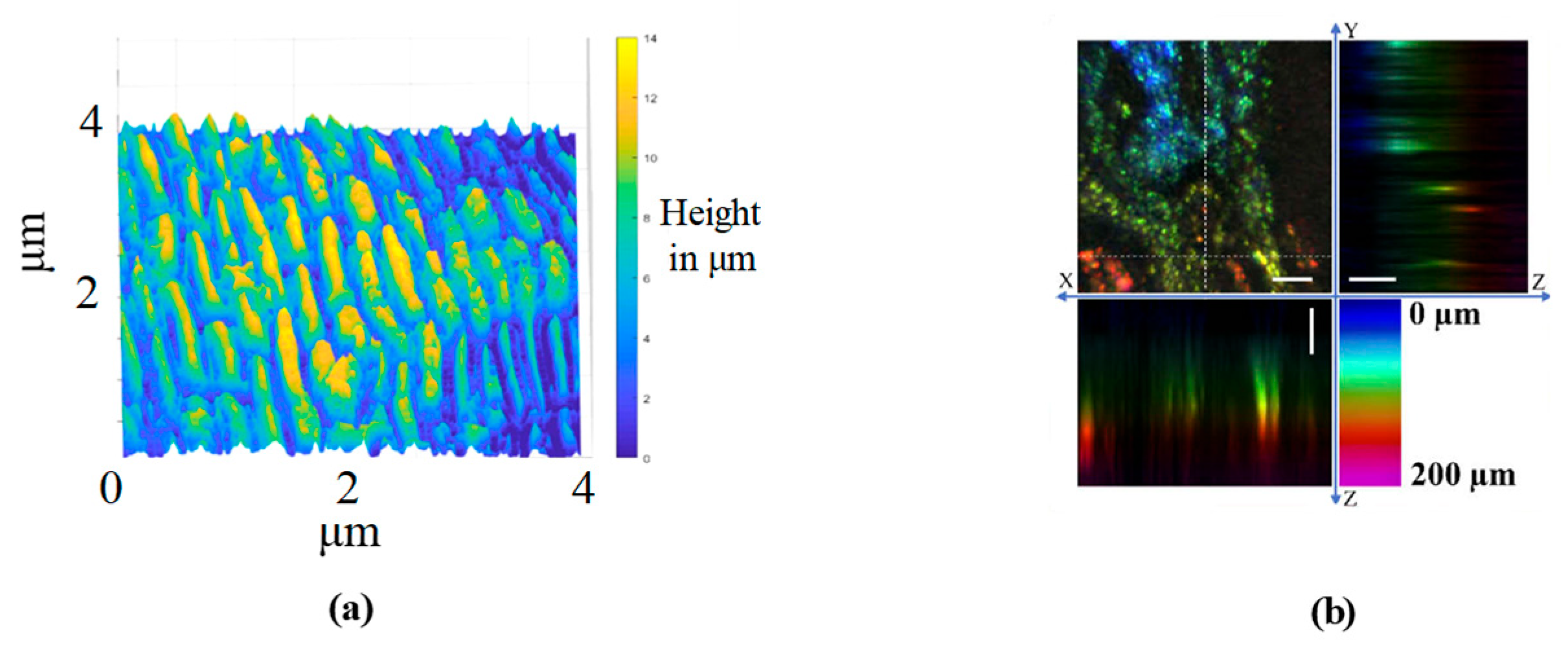 Micromachines 15 01224 g013