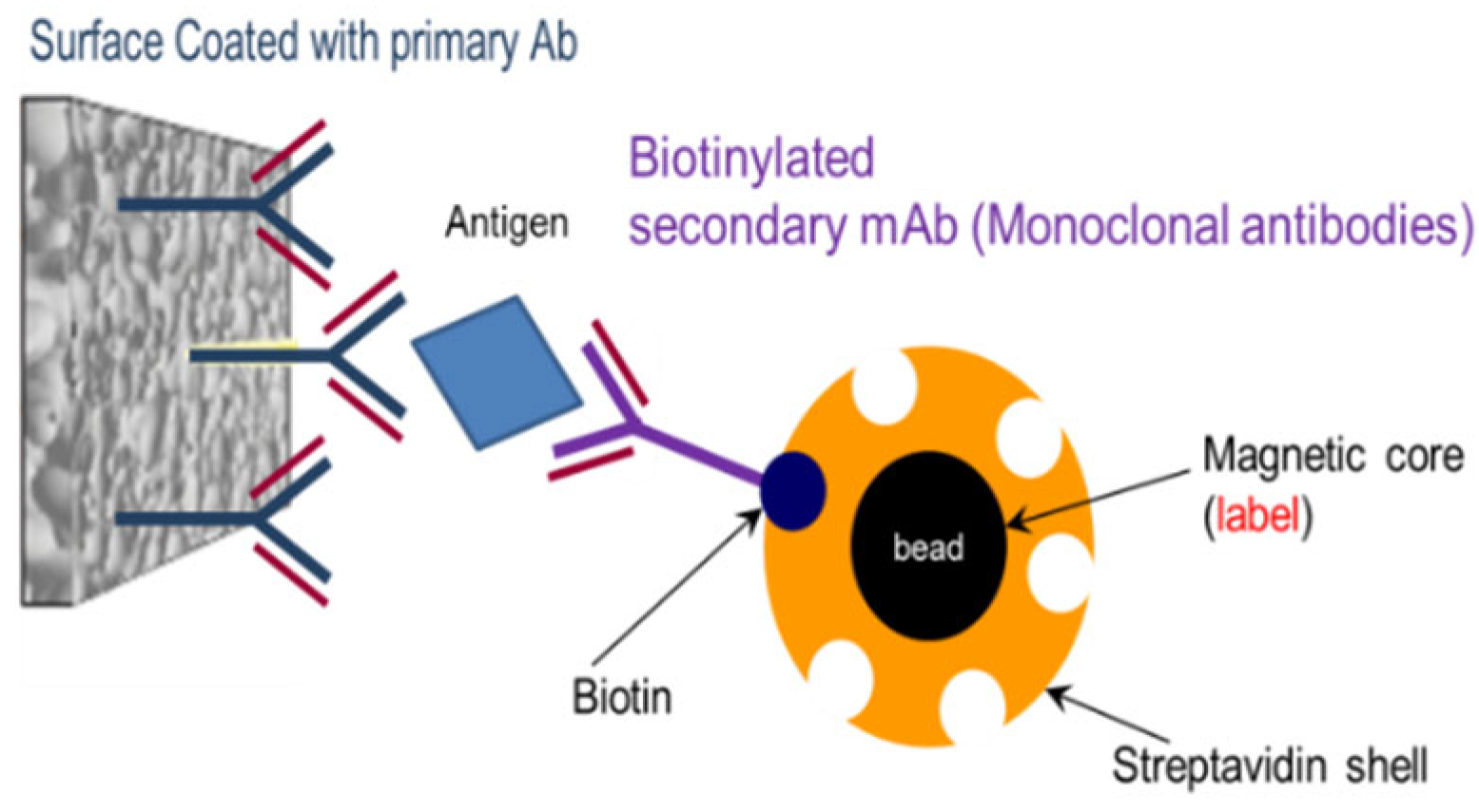 Micromachines 15 01272 g001