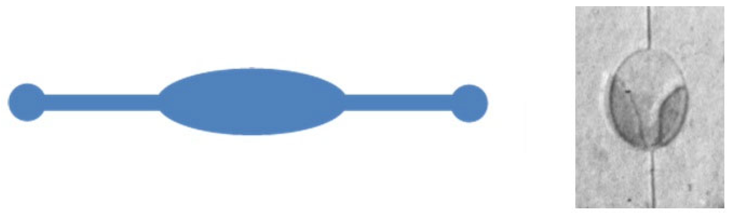 Micromachines 15 01272 g007