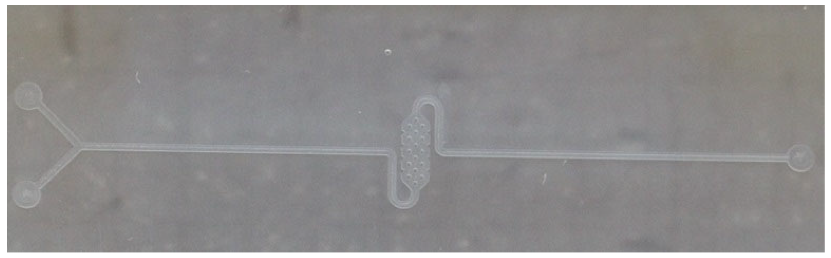 Micromachines 15 01272 g010