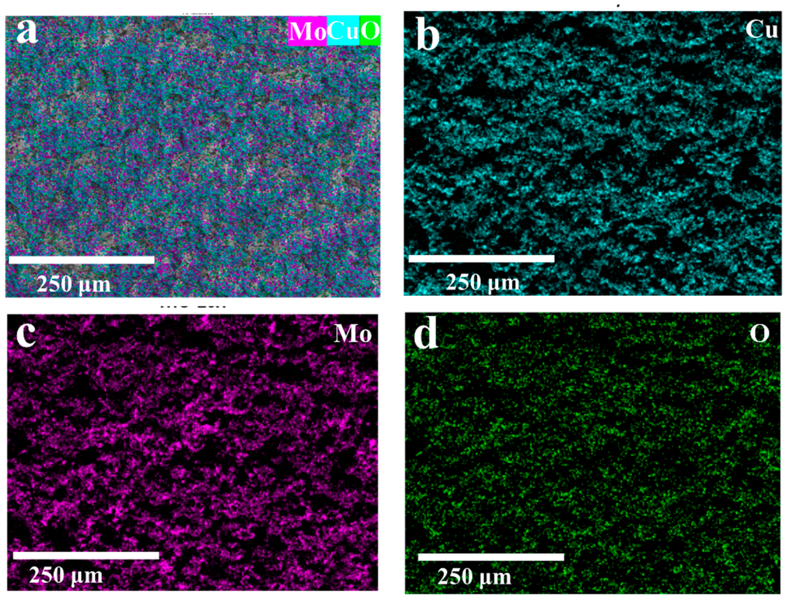 Micromachines 15 01319 g002