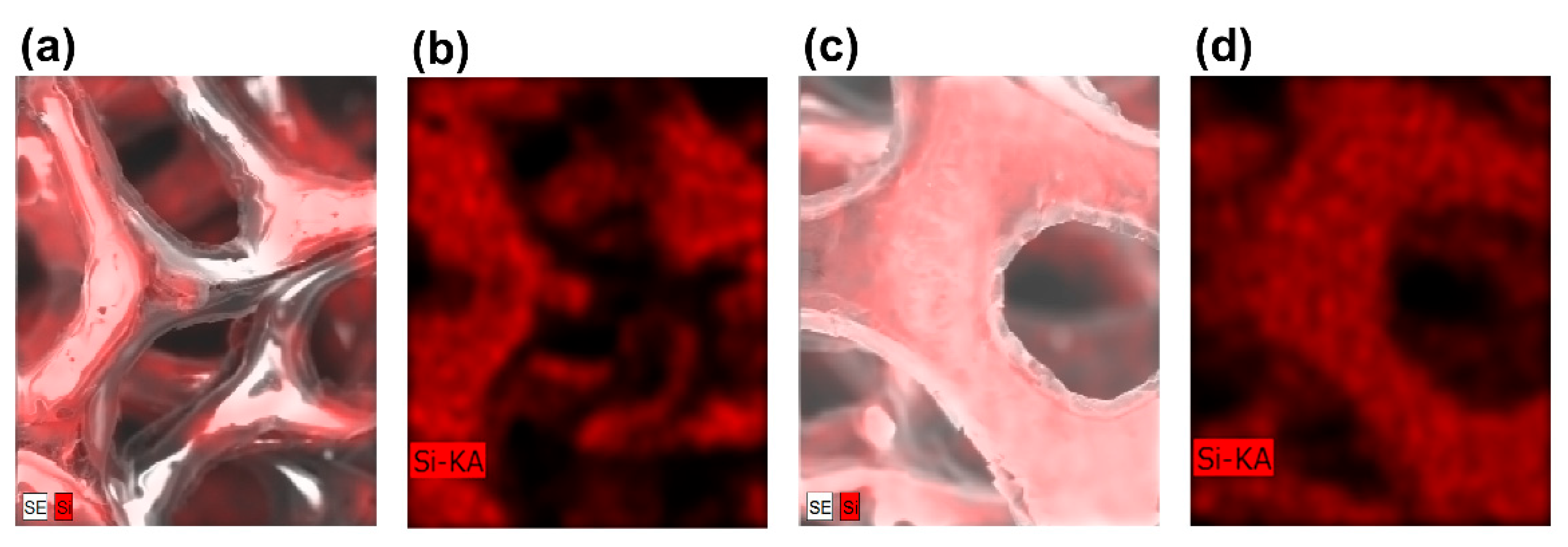 Micromachines 15 01355 g007