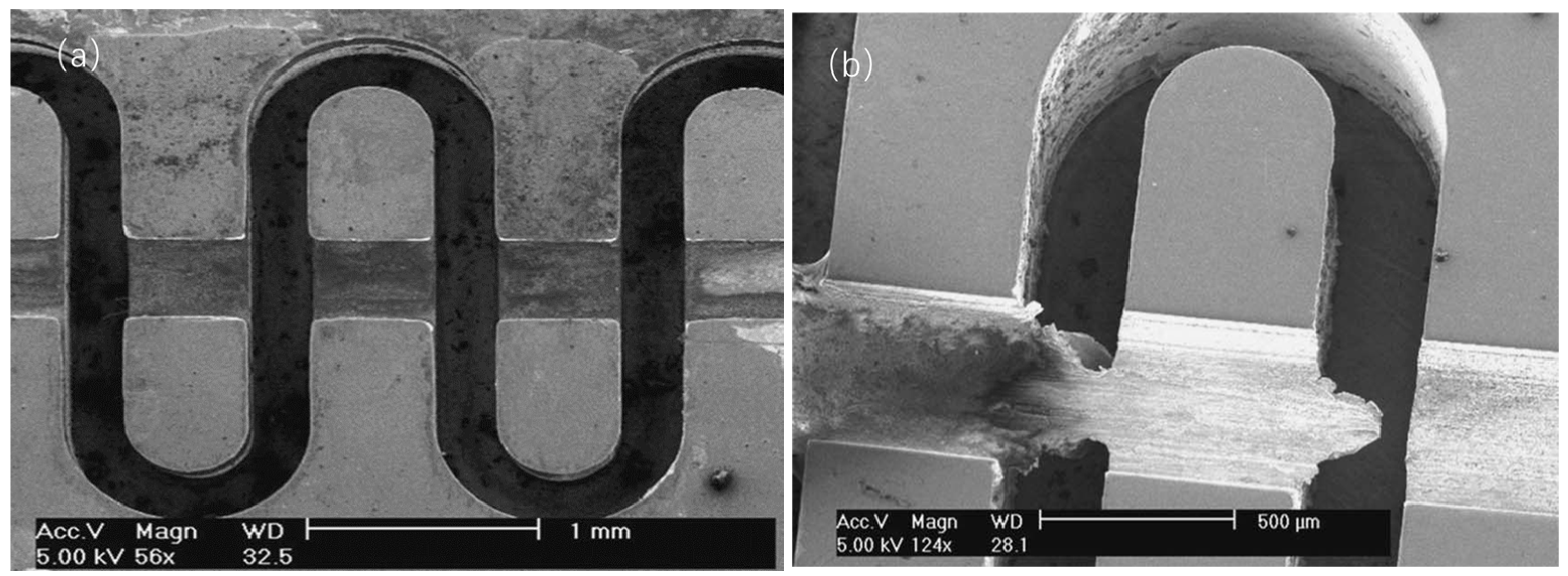 Micromachines 15 01357 g004