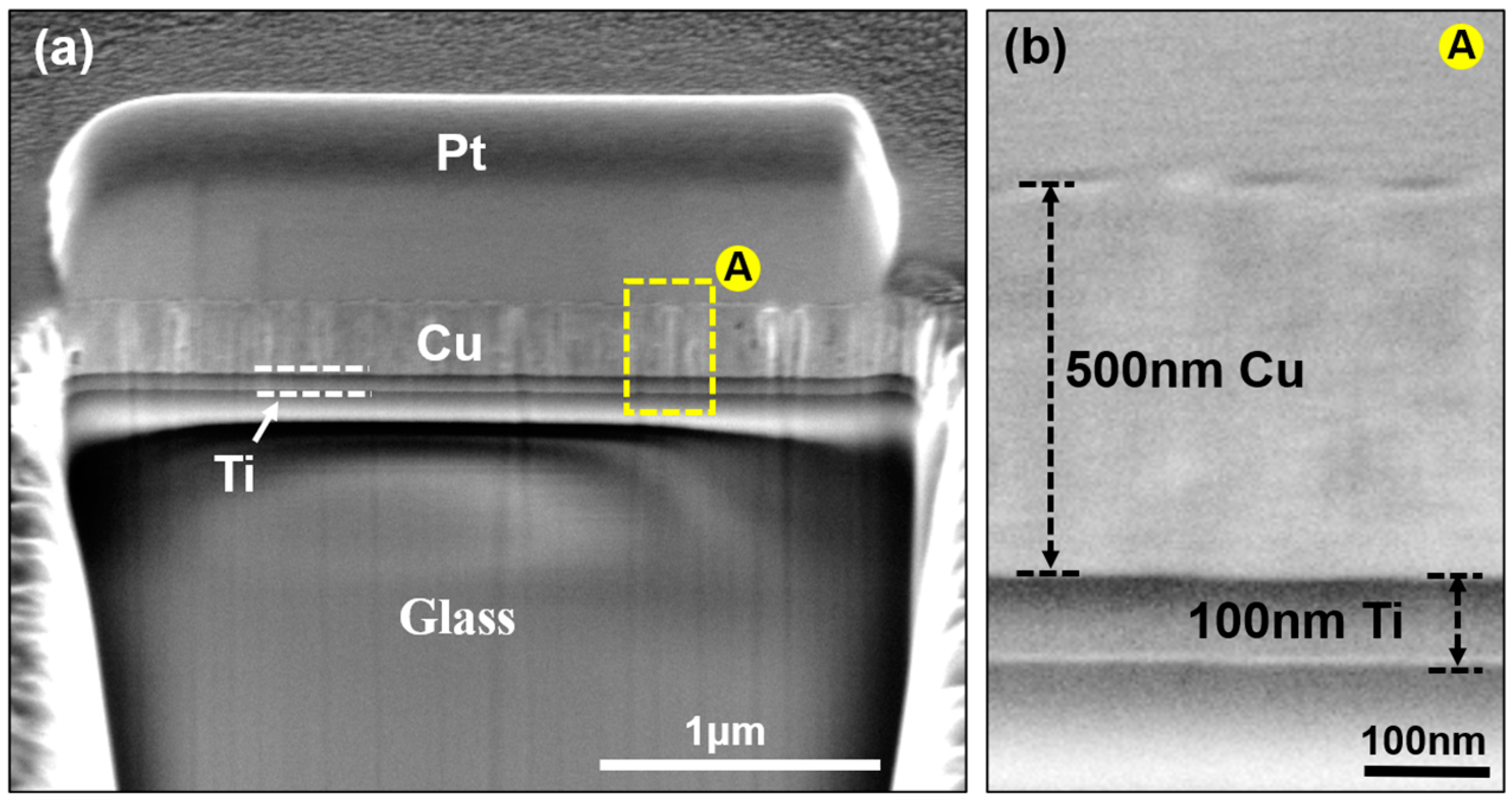 Micromachines 15 01370 g001